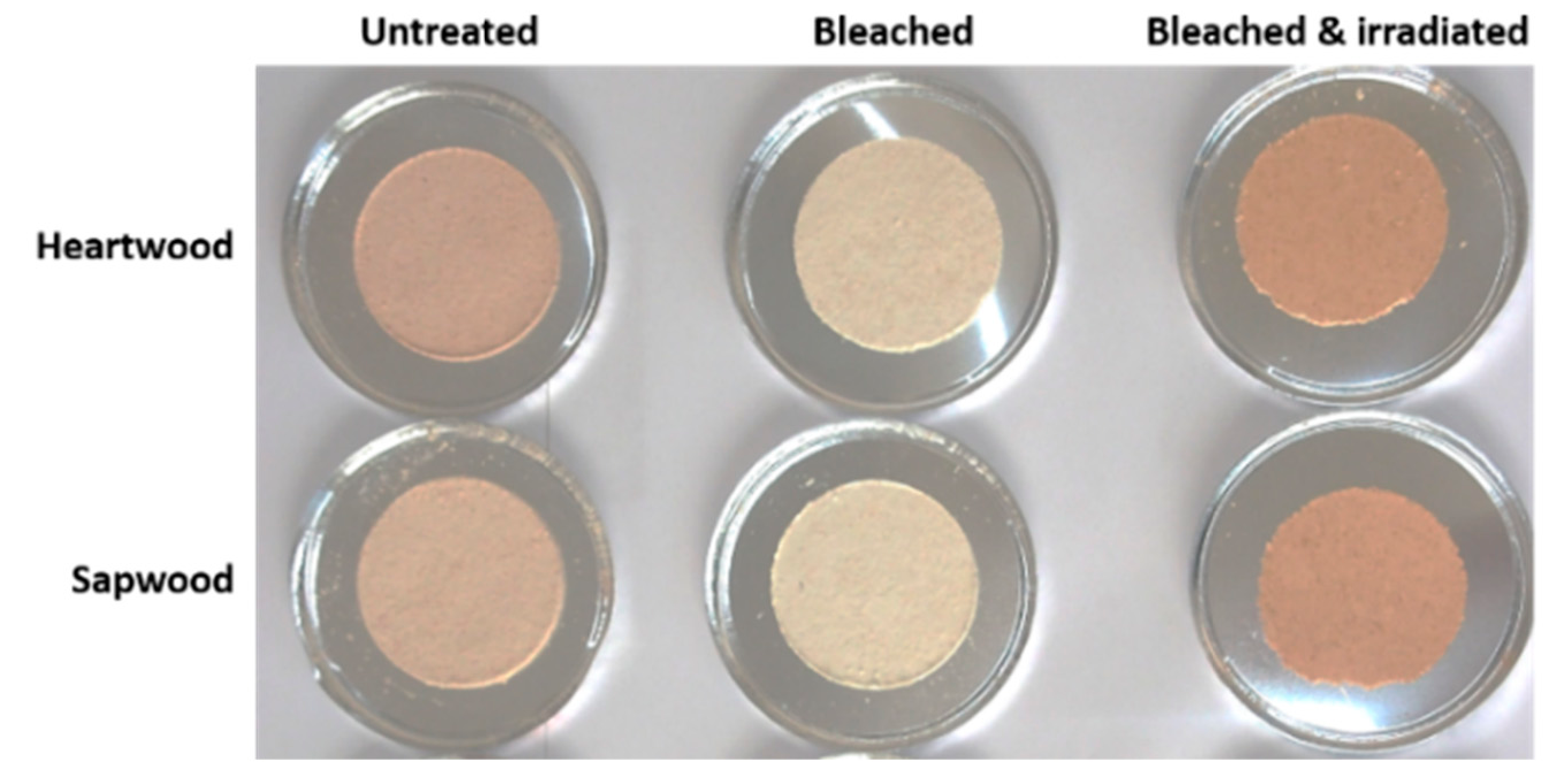 Coatings 11 00839 g013 550