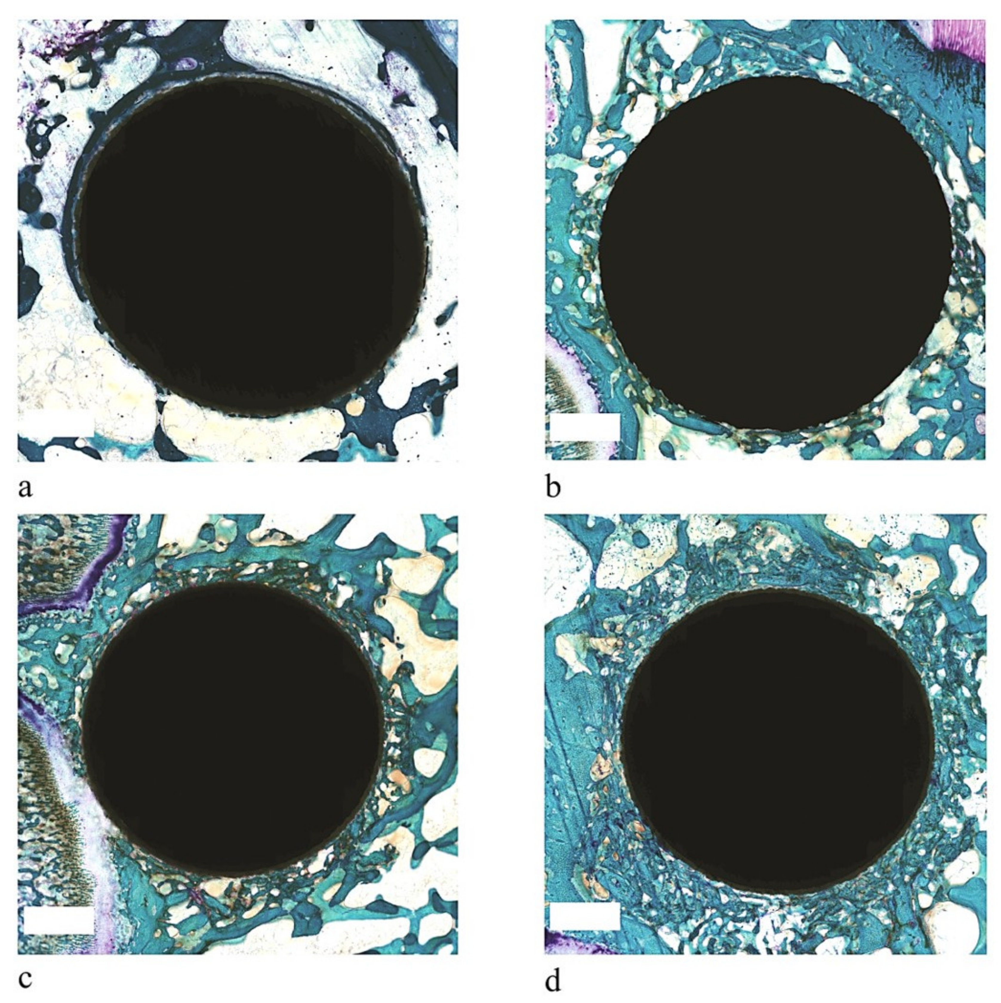 Coatings 11 00840 g001 Coatings 11 00840 g001