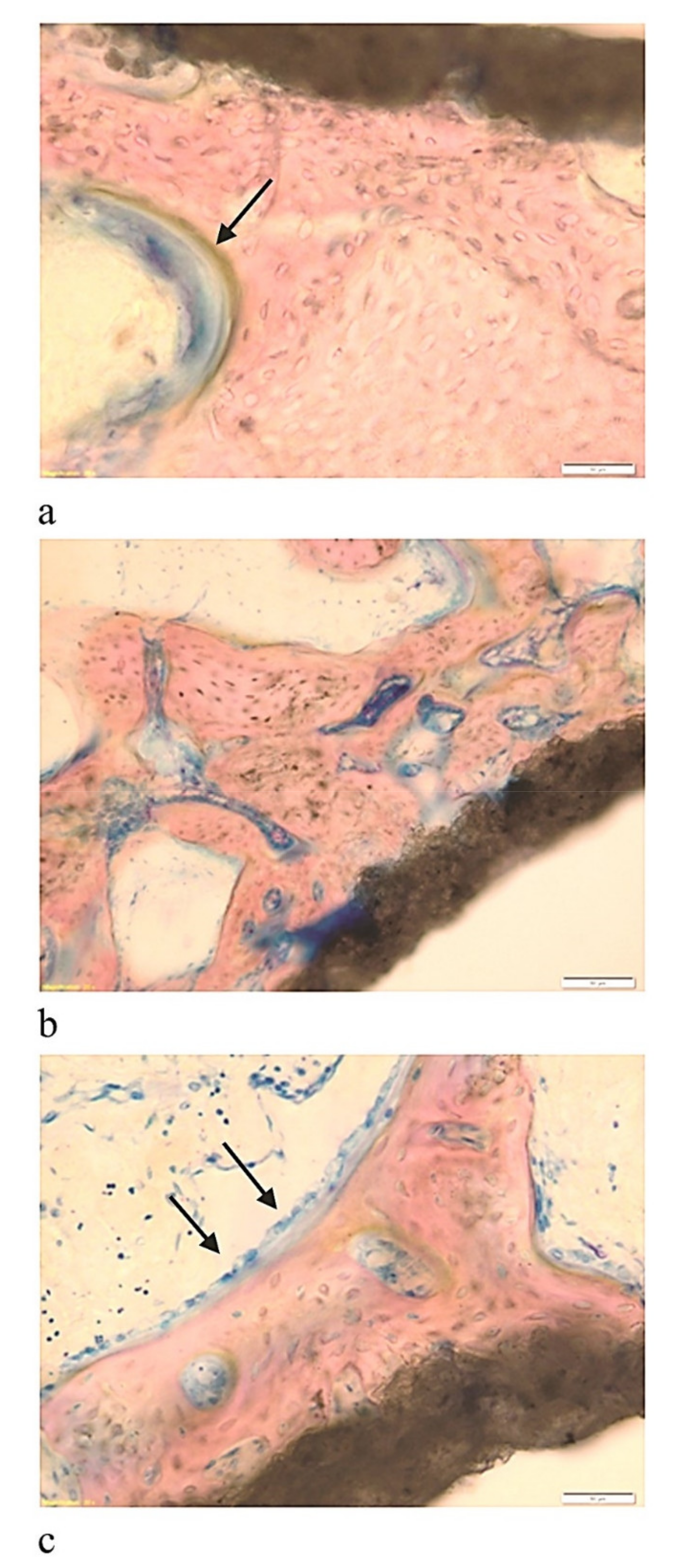 Coatings 11 00840 g002 Coatings 11 00840 g002