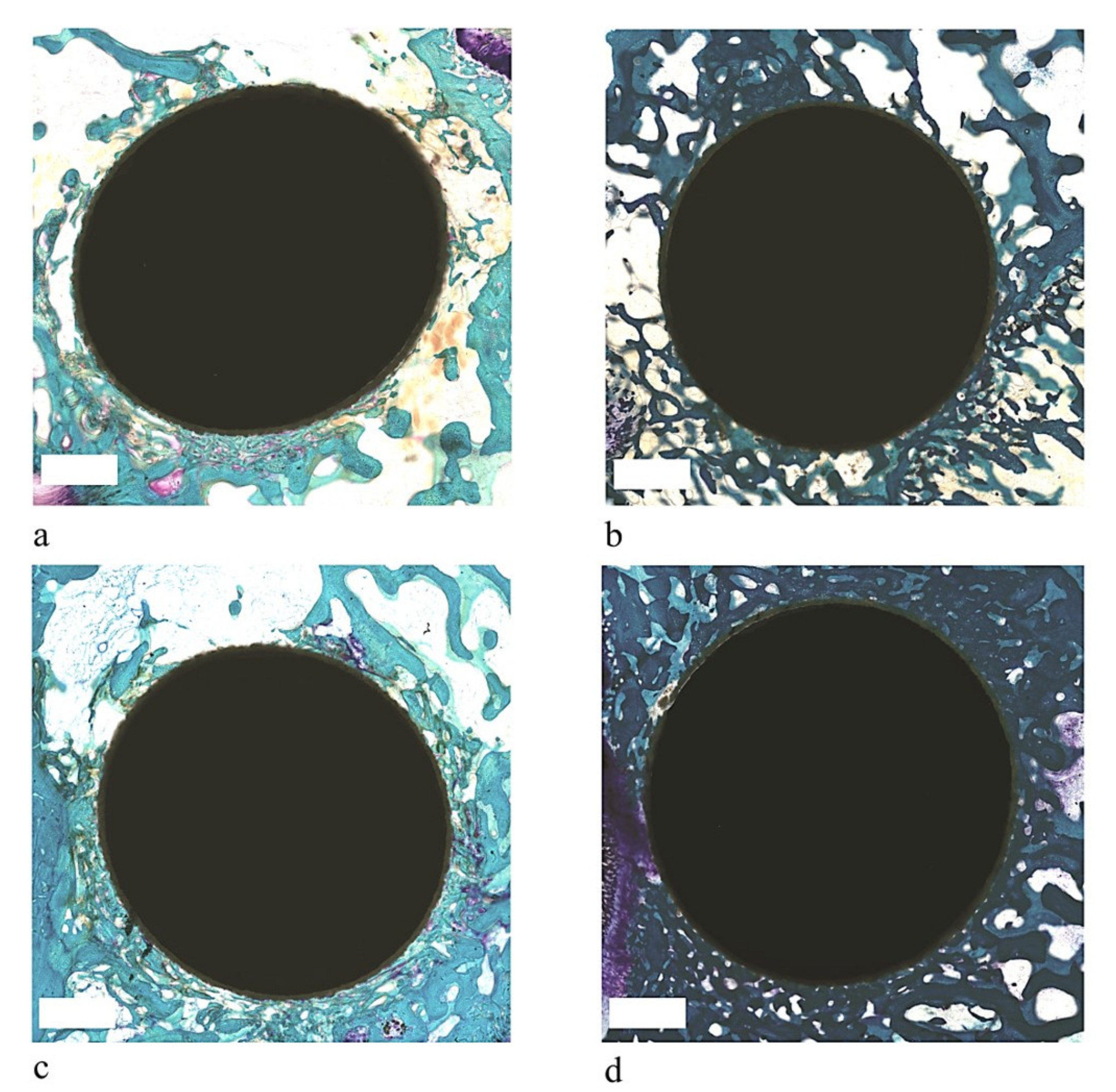 Coatings 11 00840 g003 Coatings 11 00840 g003