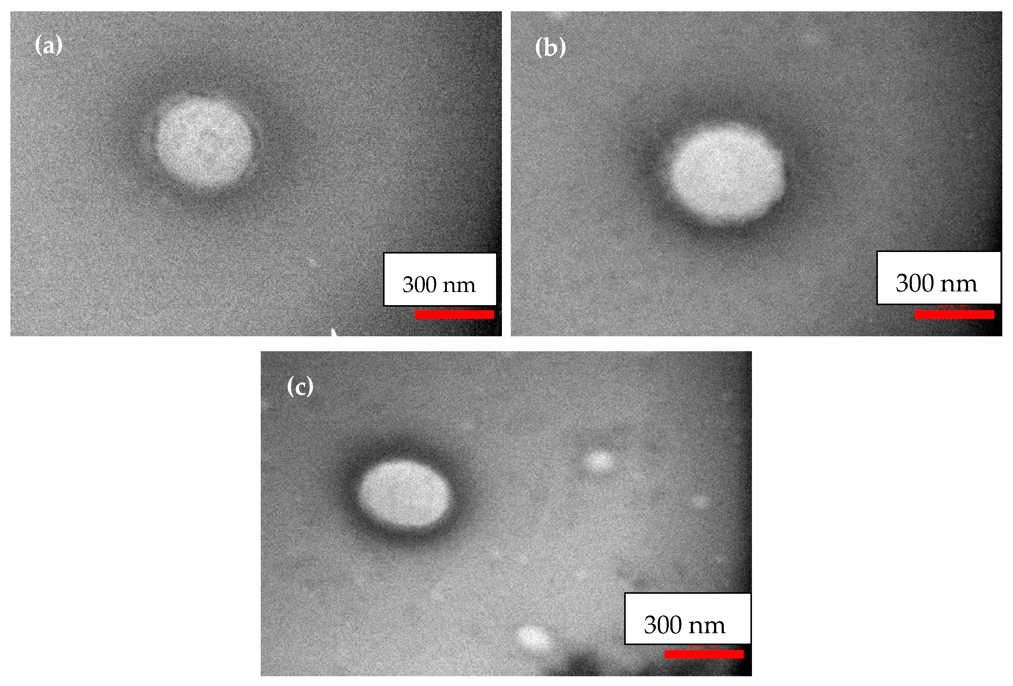 Coatings 11 00841 g001 550
