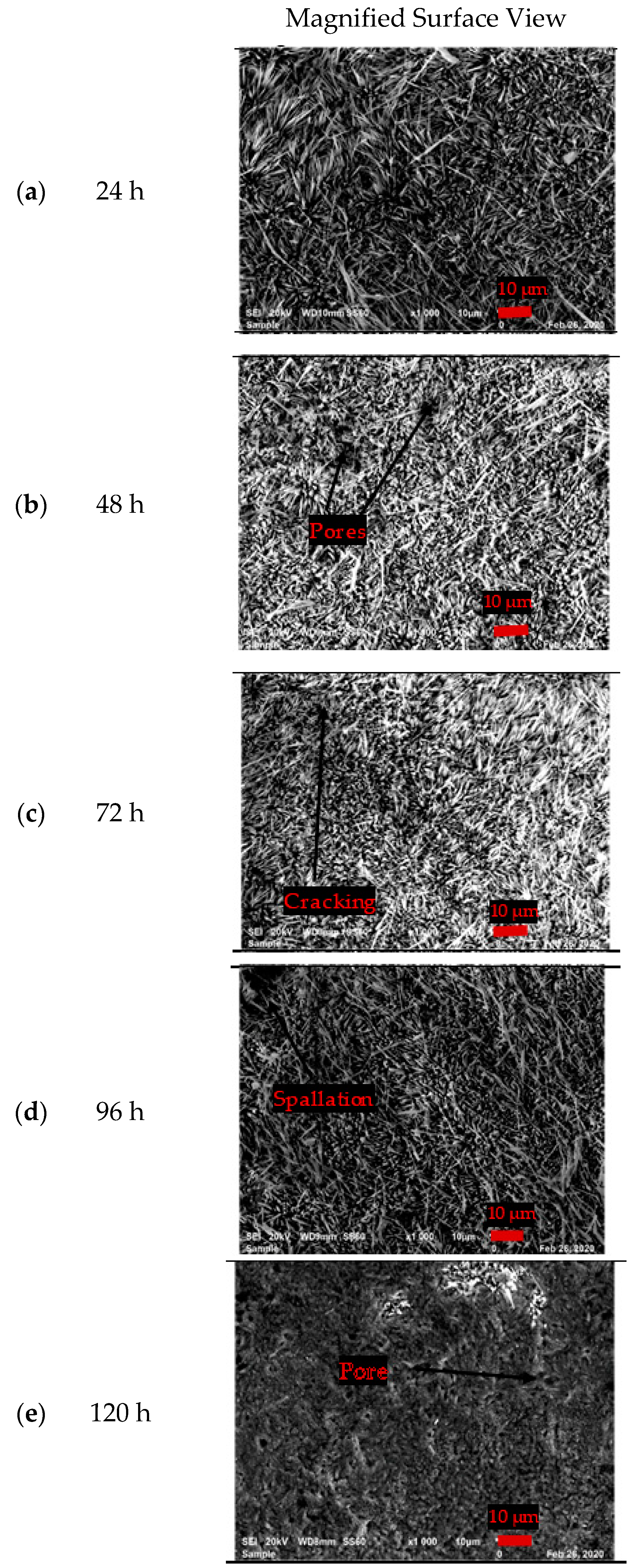 Coatings 11 00843 g005 550