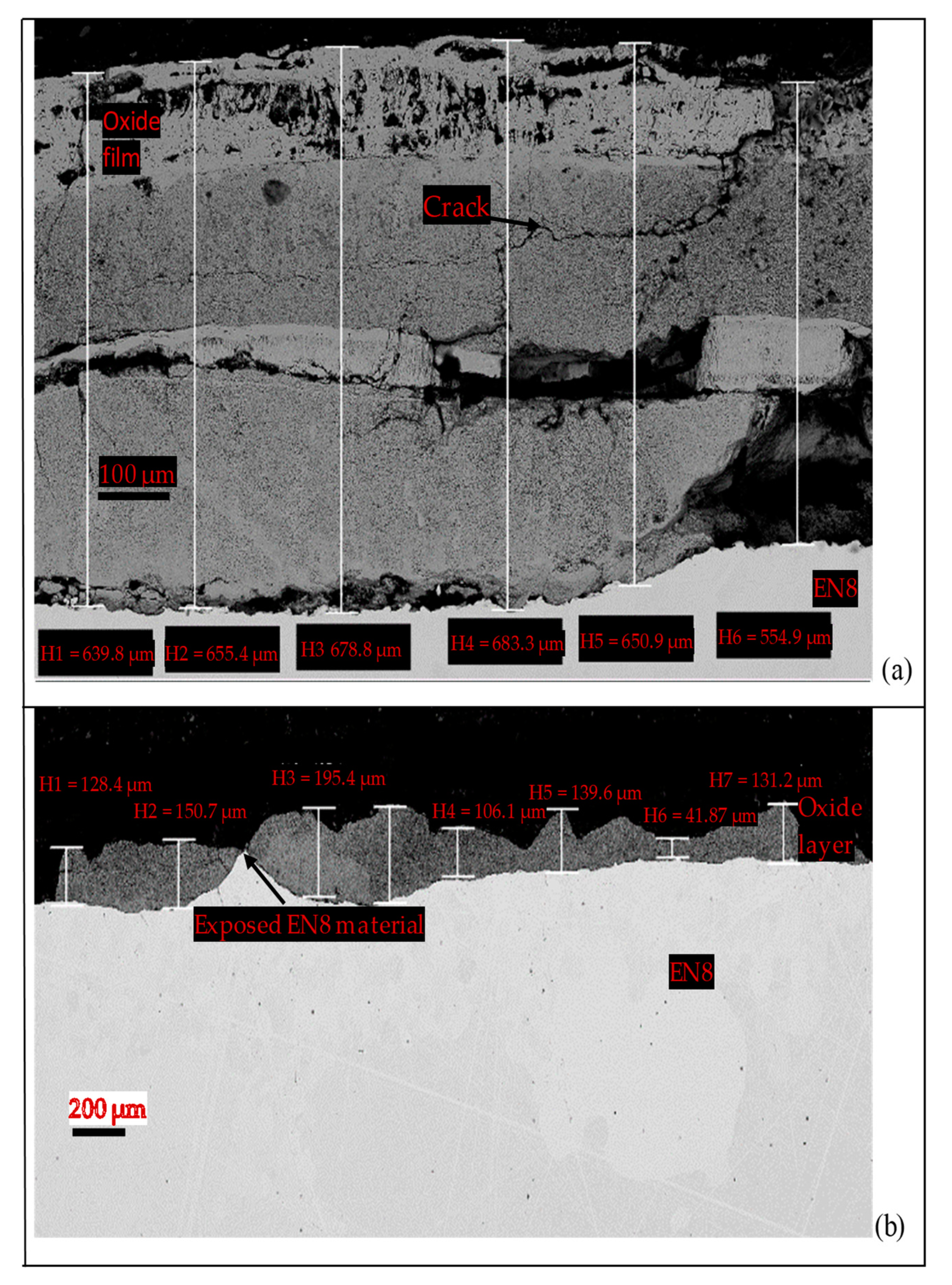 Coatings 11 00843 g006 550