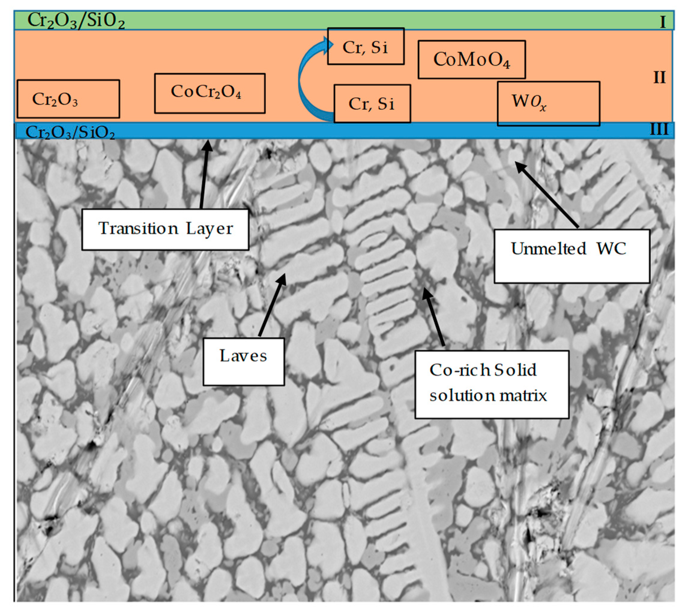 Coatings 11 00843 g012 550