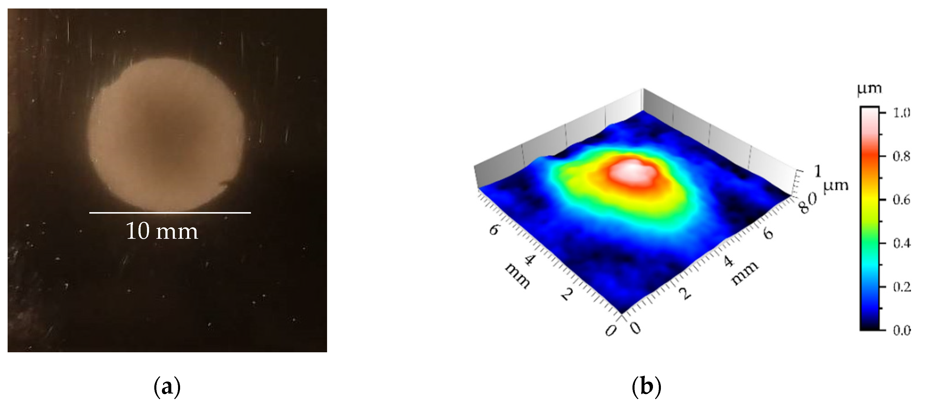 Coatings 11 00844 g002