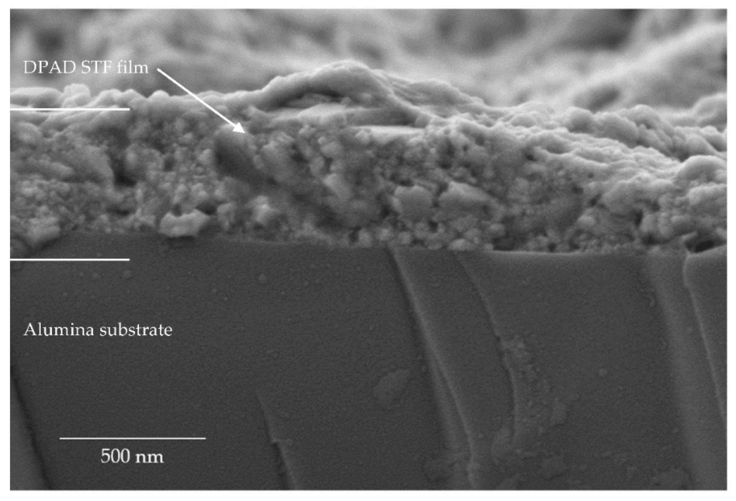 Coatings 11 00844 g004