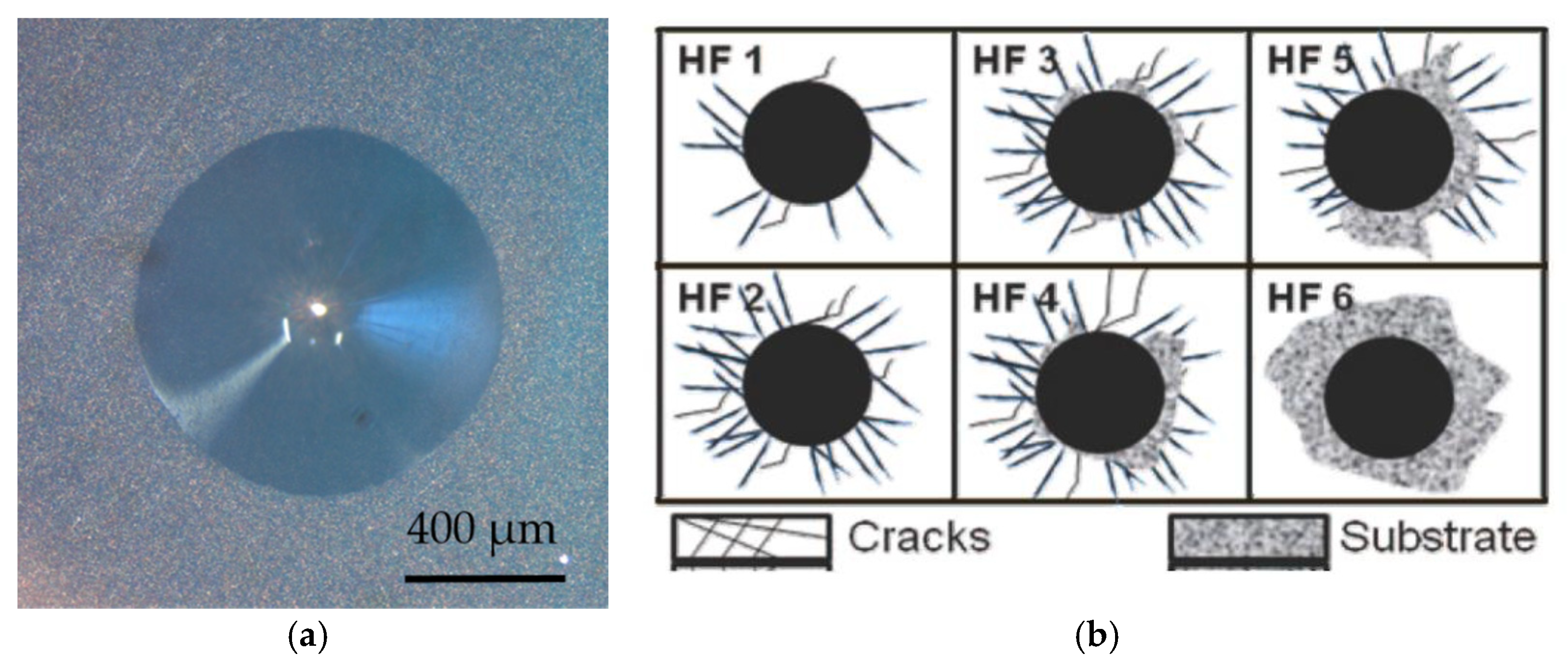 Coatings 11 00844 g006