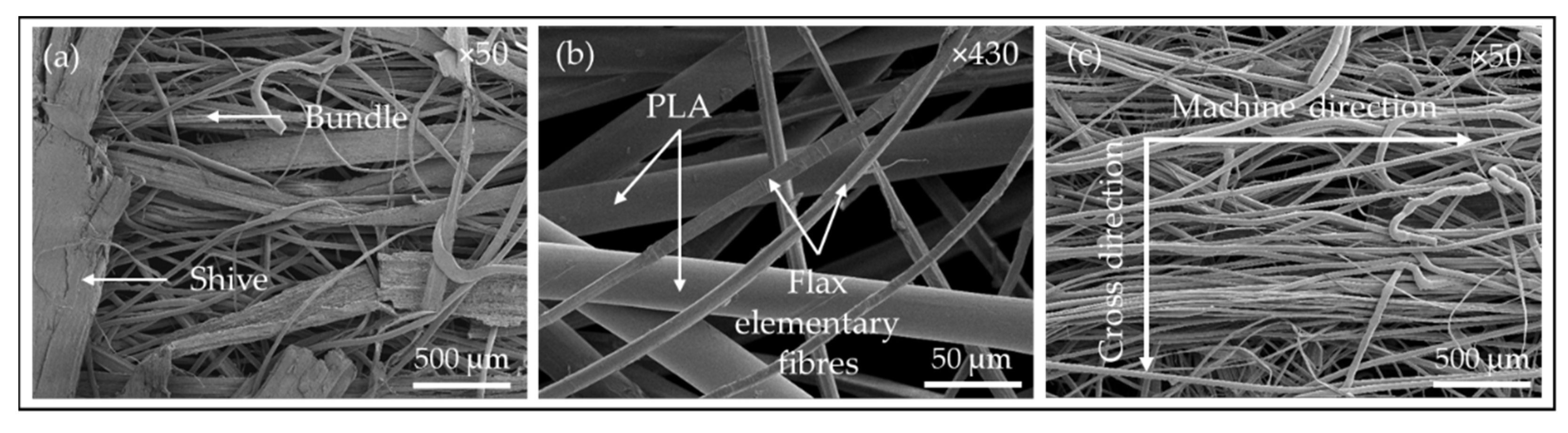Coatings 11 00846 g008