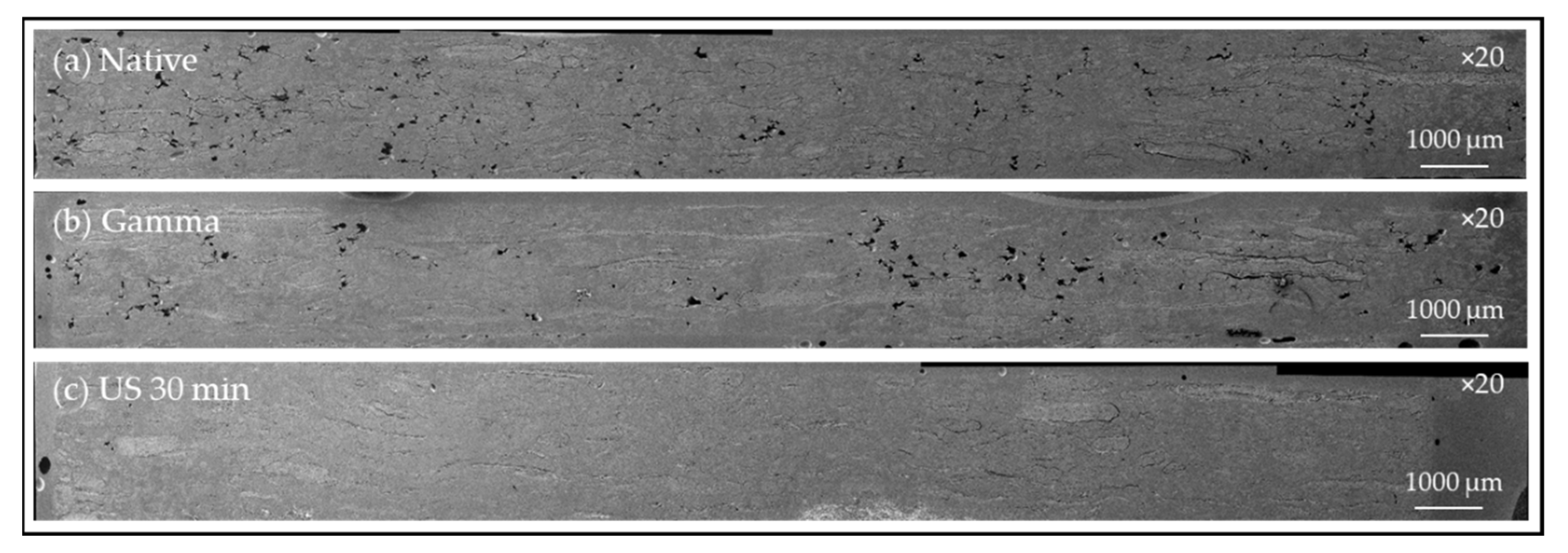 Coatings 11 00846 g009