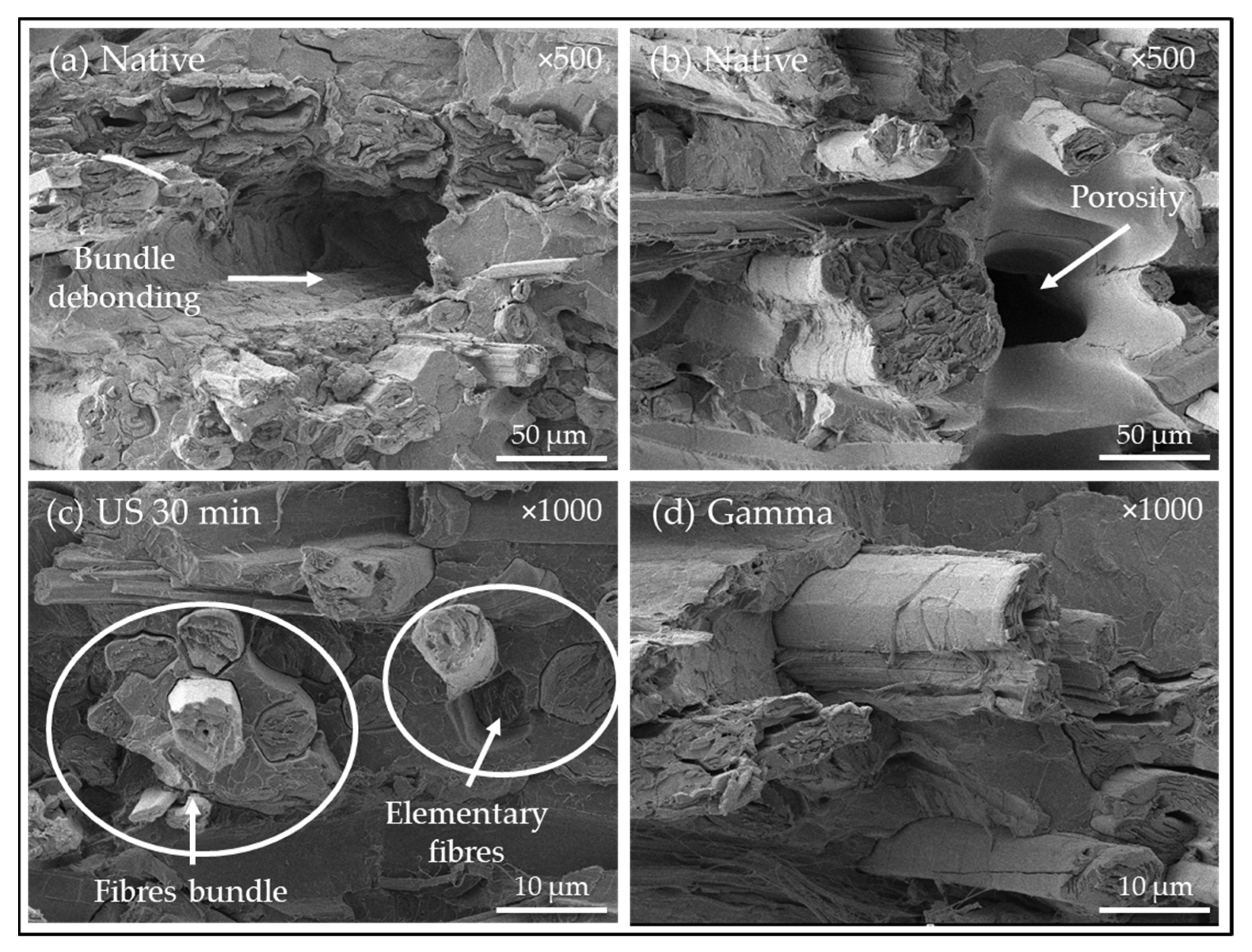 Coatings 11 00846 g012