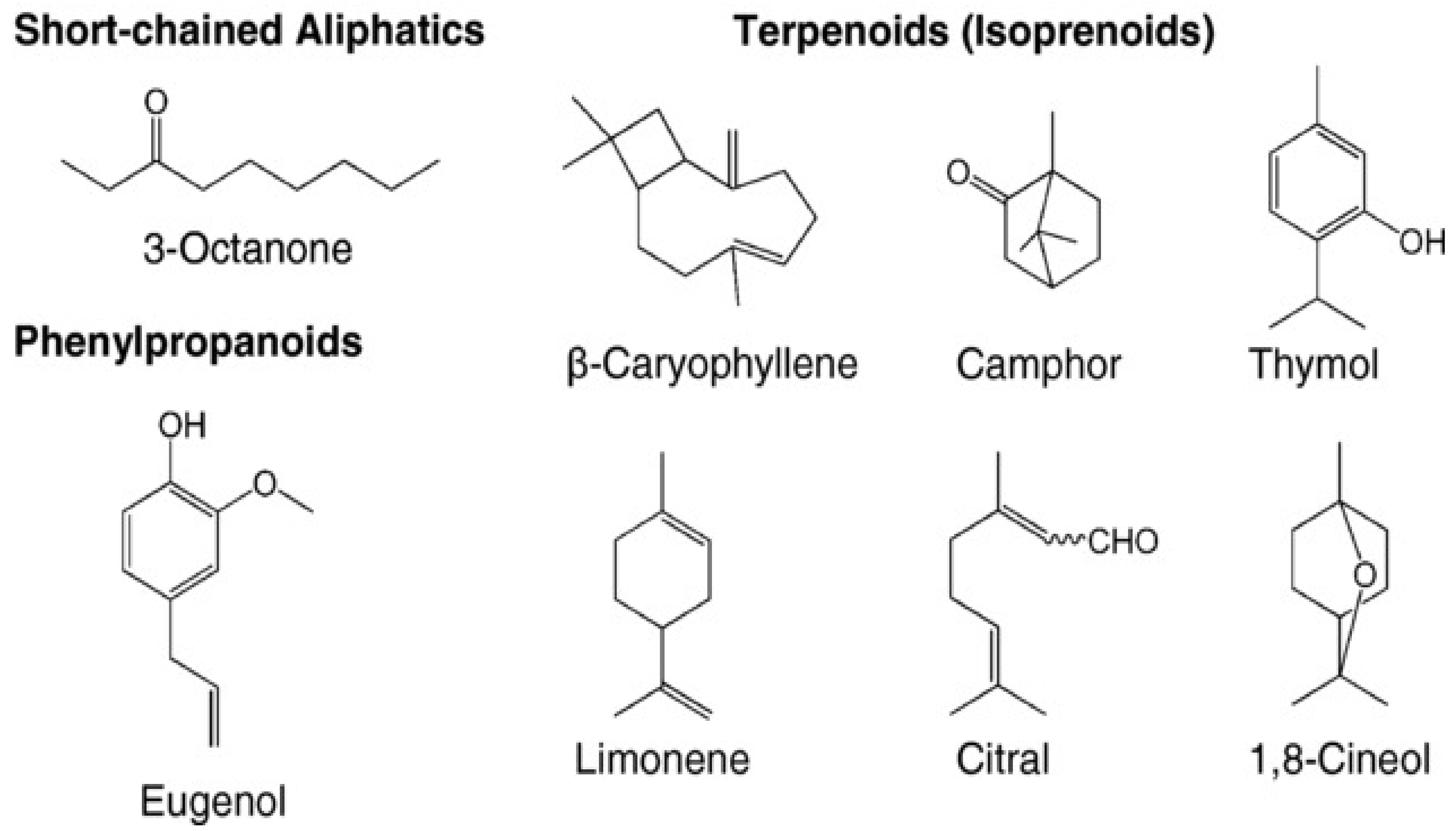 Coatings 11 00847 g002