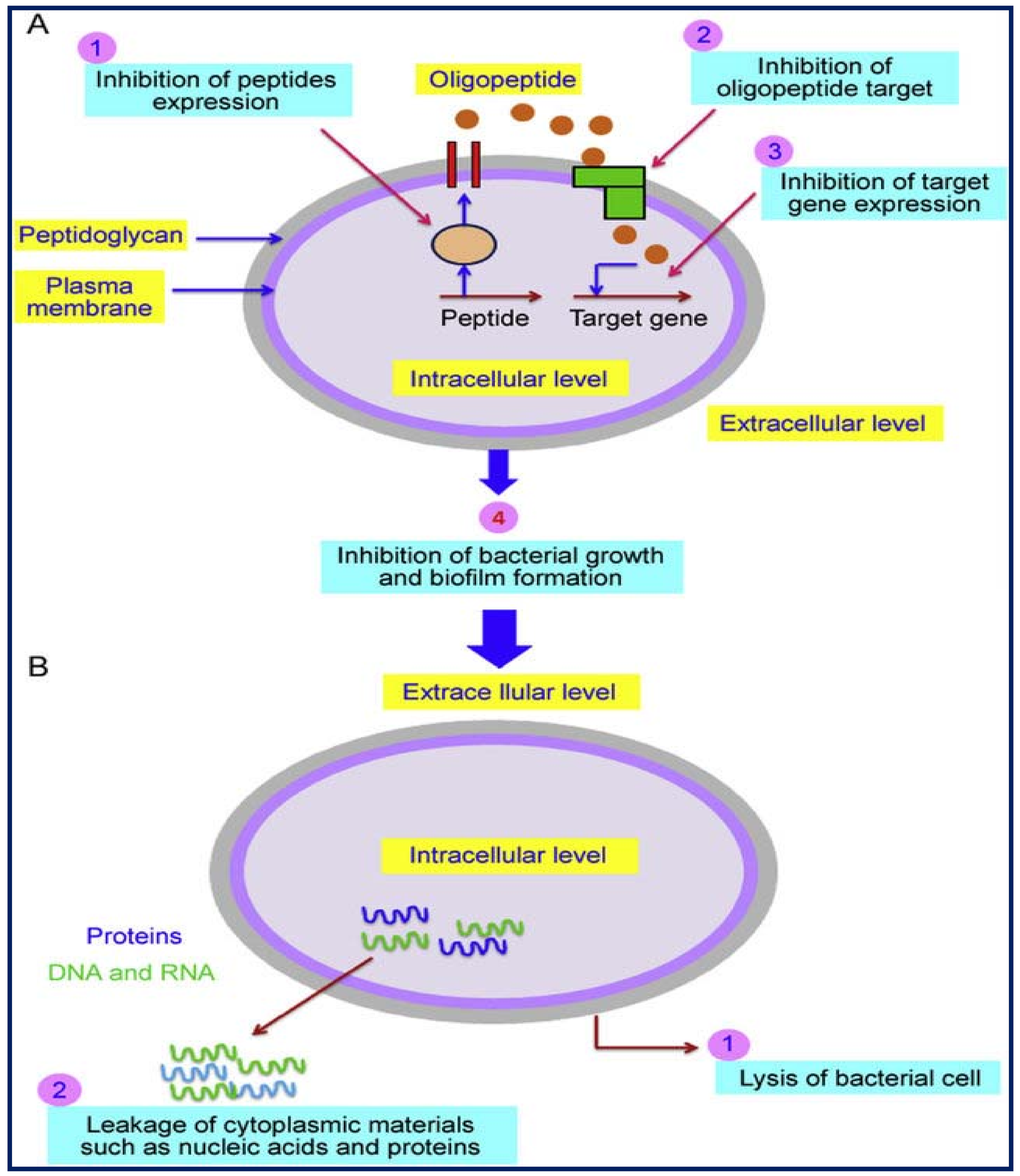 Coatings 11 00847 g003