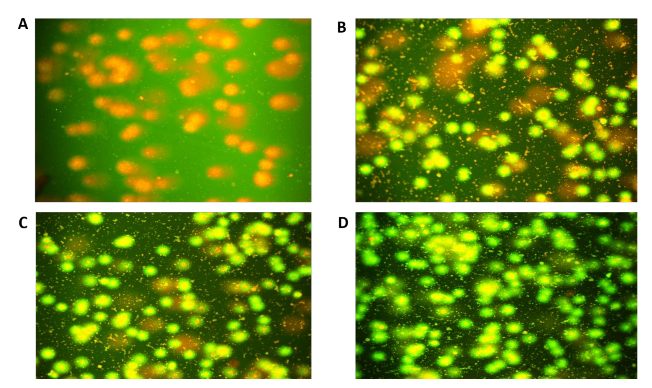 Coatings 11 00849 g010