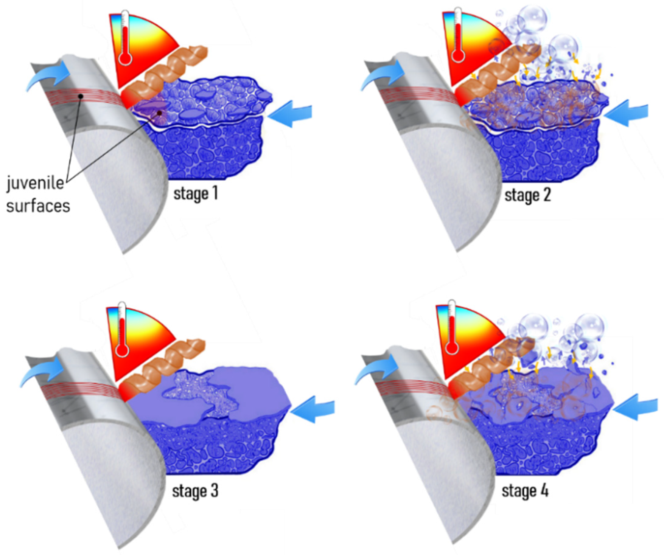 Coatings 11 00855 g002