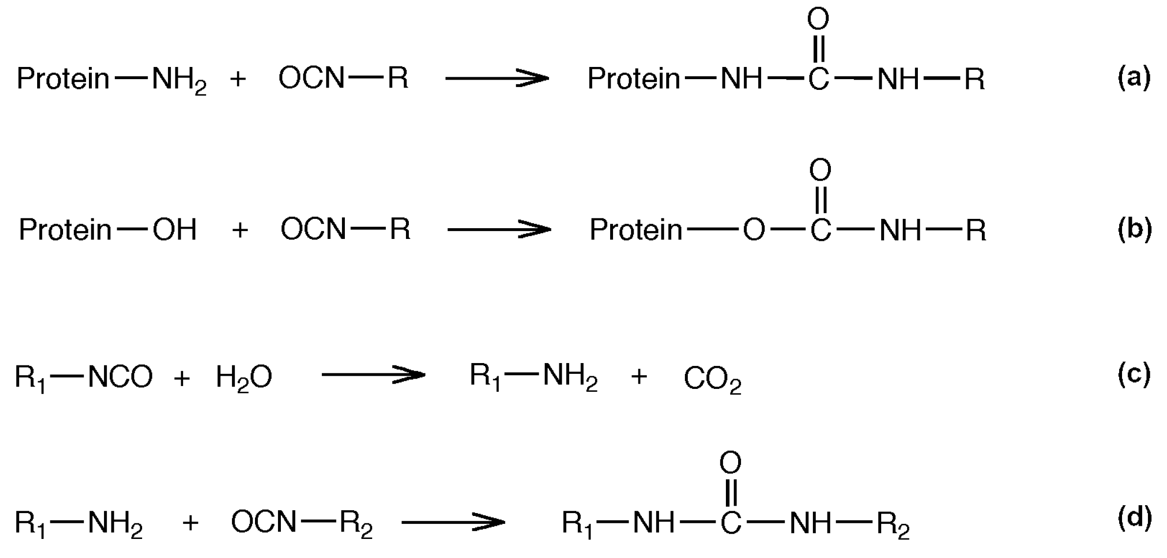 Coatings 11 00859 g001 550