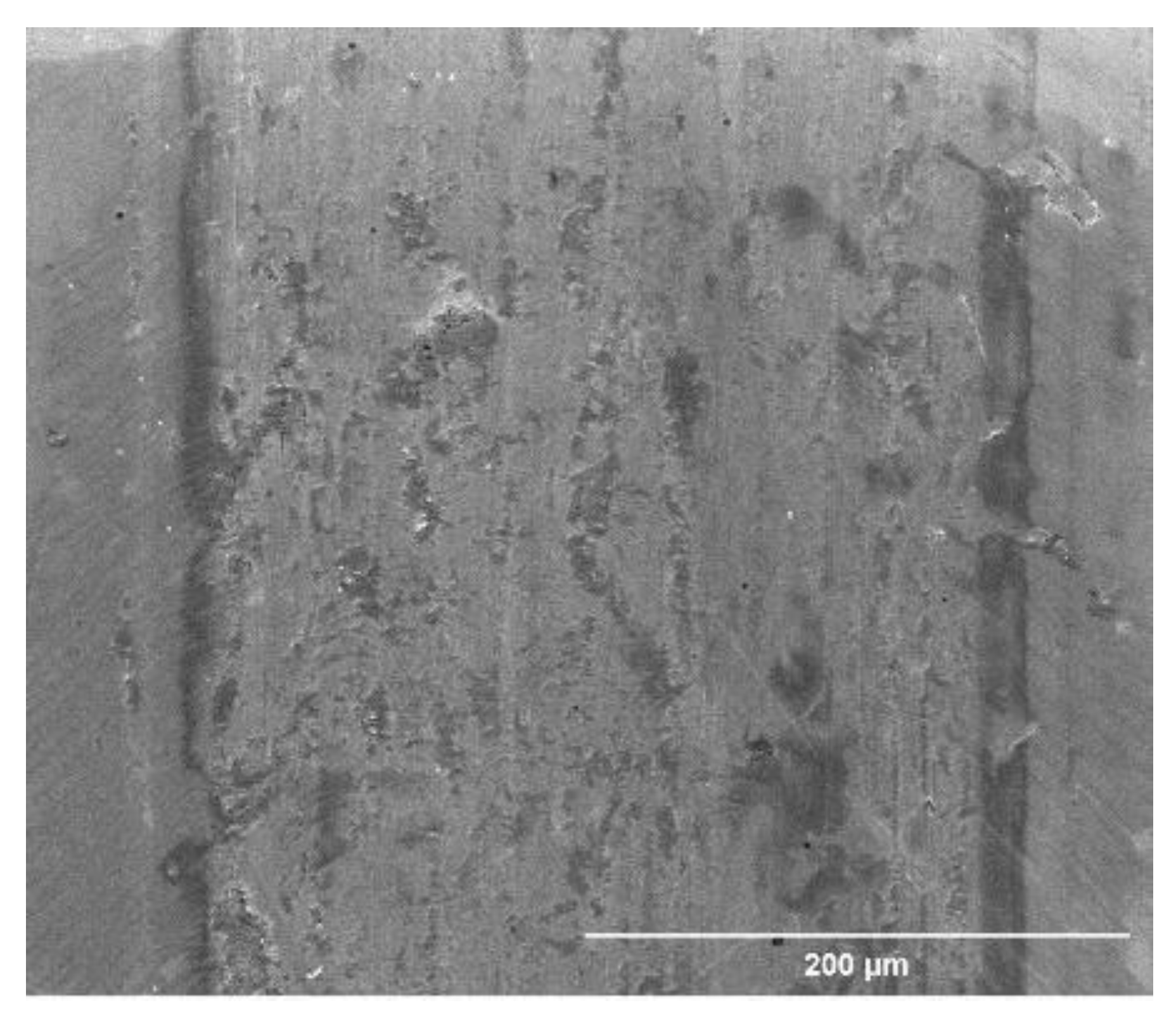 Coatings 11 00867 g003