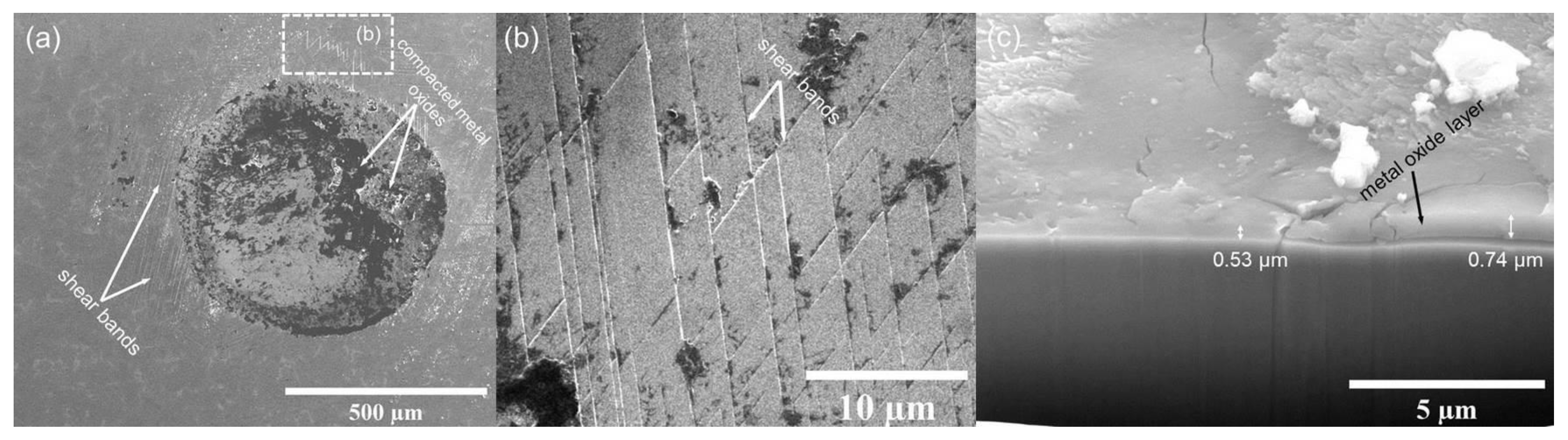 Coatings 11 00867 g004