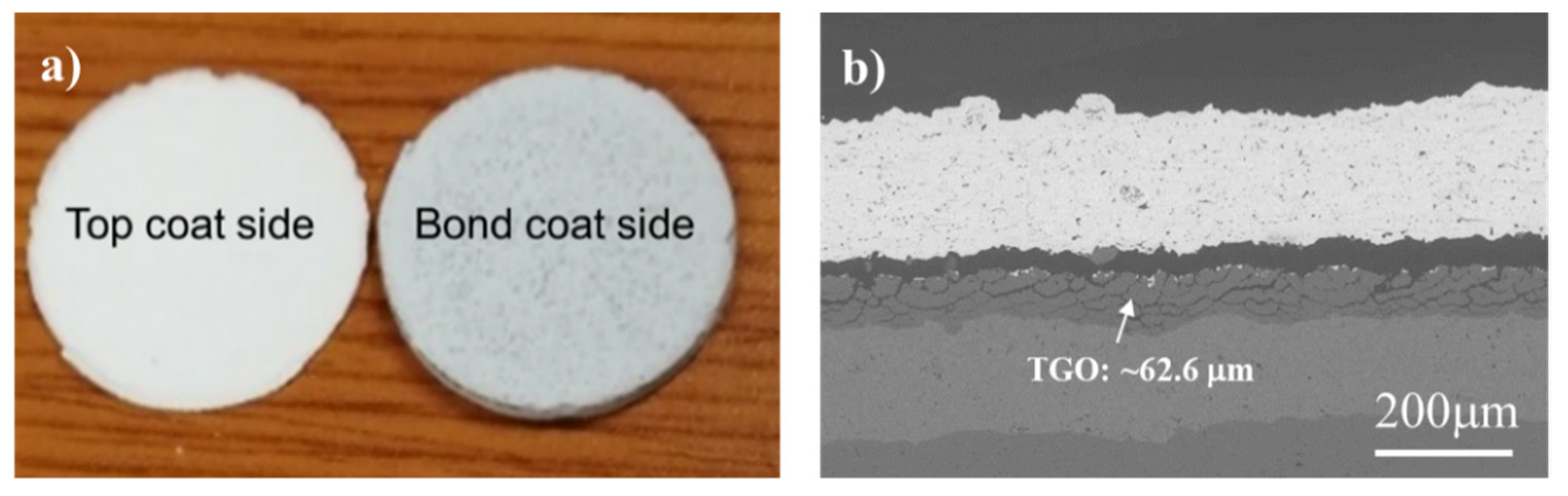 Coatings 11 00868 g006 550
