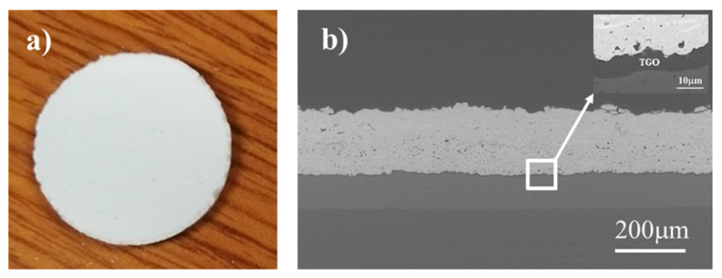 Coatings 11 00868 g007 550