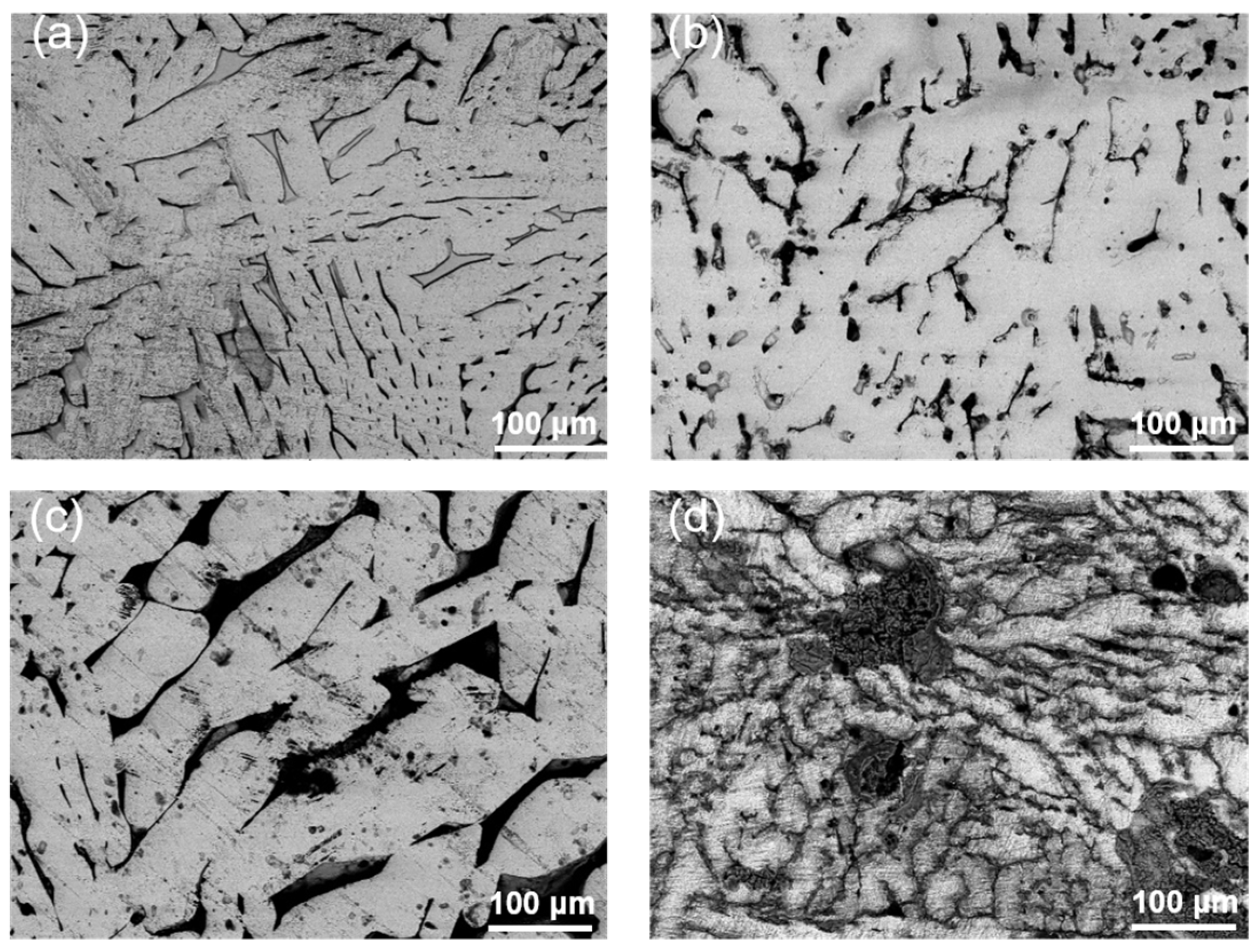 Coatings 11 00870 g013