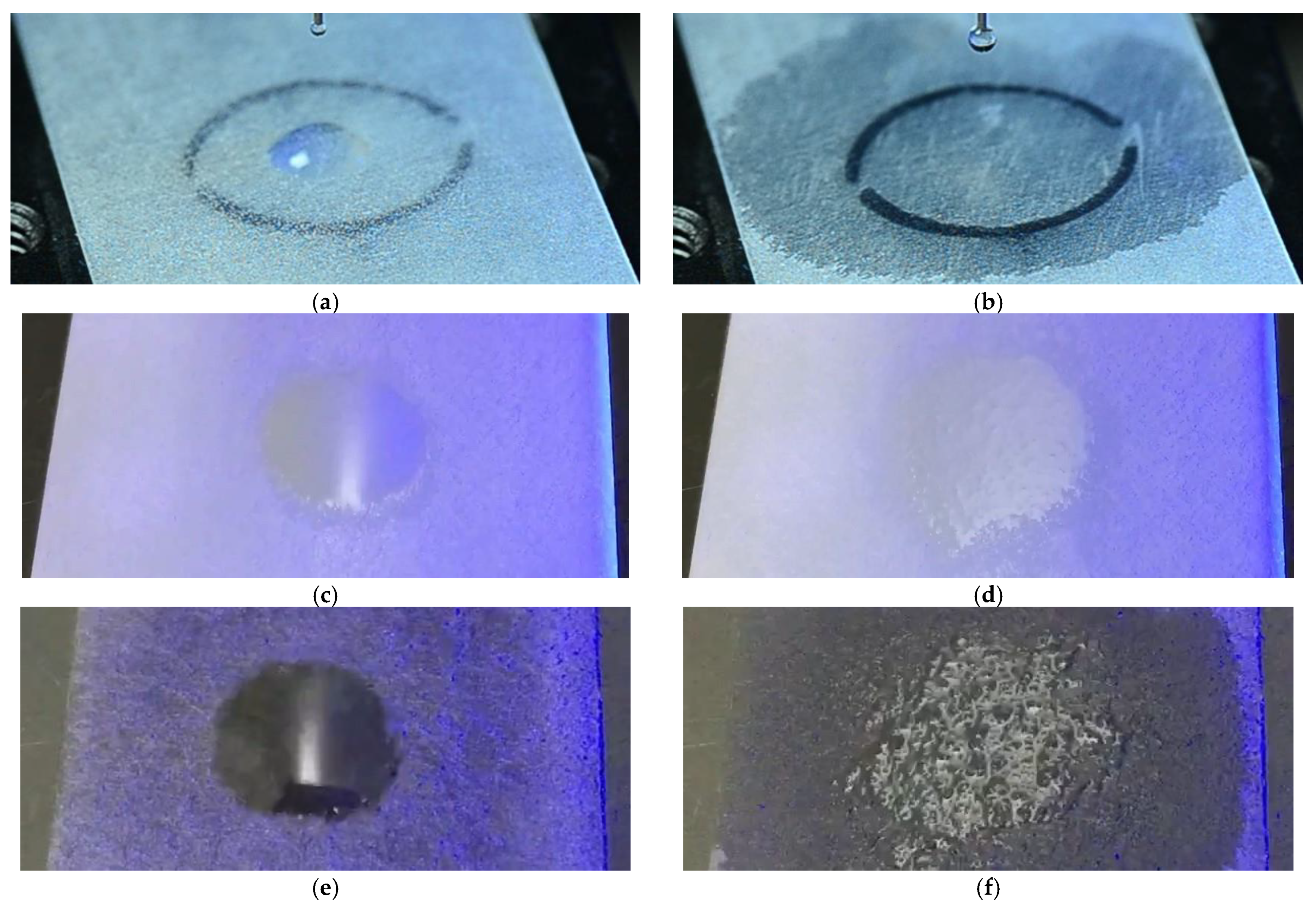 Coatings 11 00871 g006