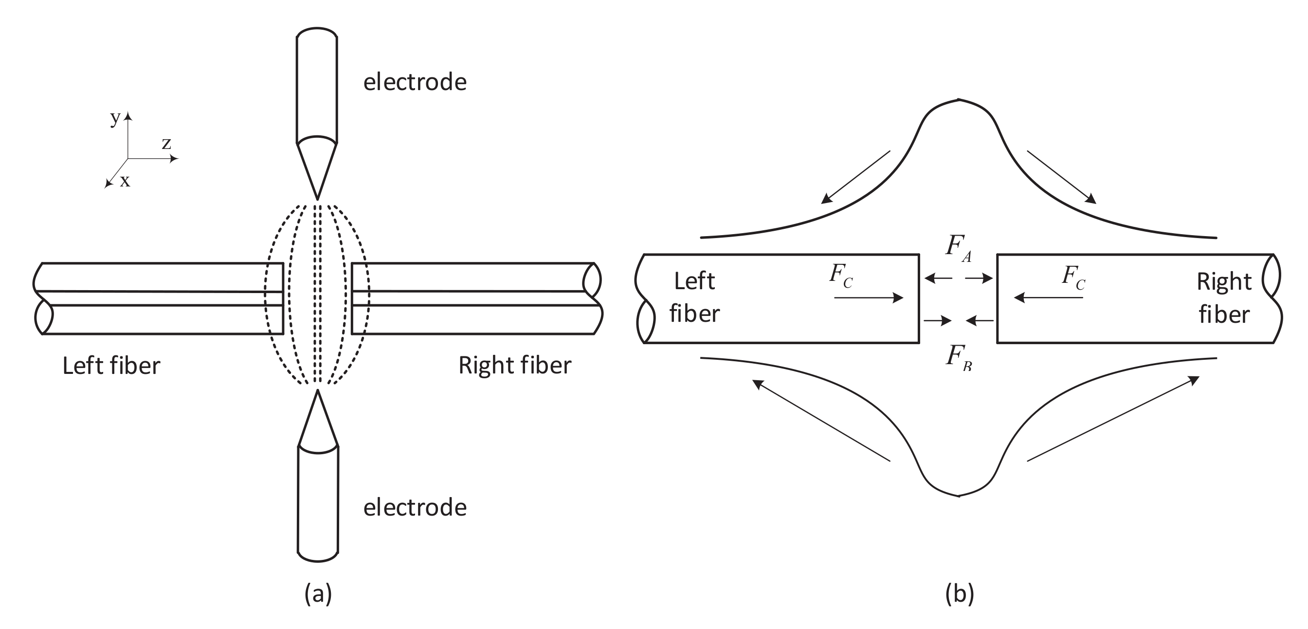 Coatings 11 00876 g002 550