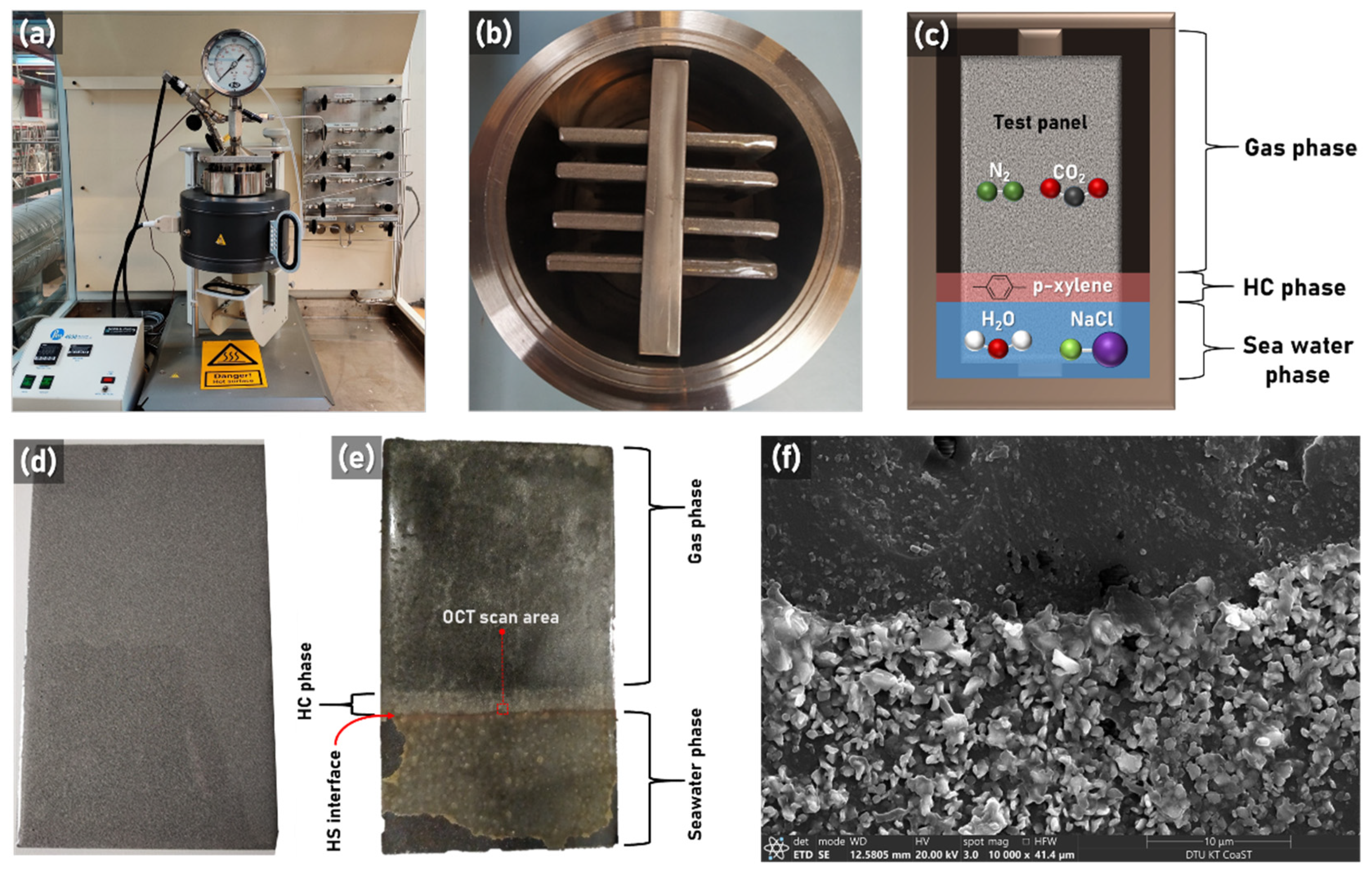 Coatings 11 00877 g001
