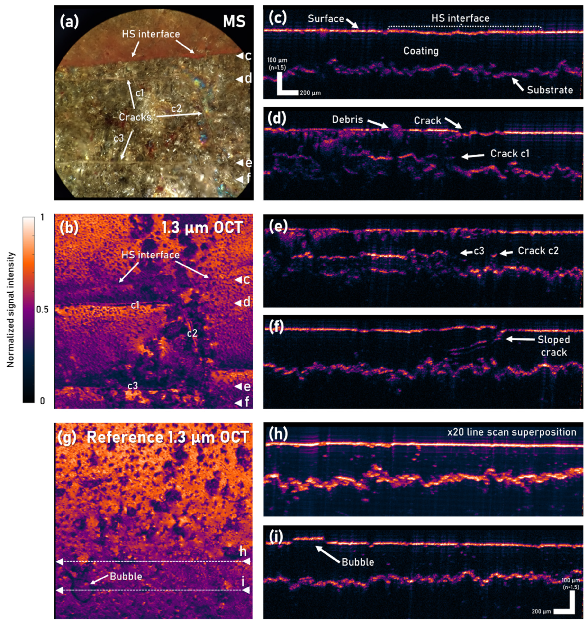 Coatings 11 00877 g002