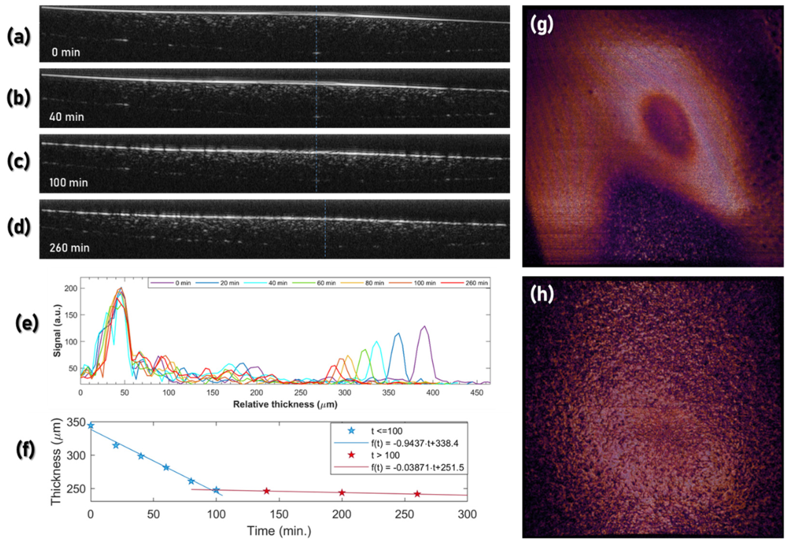 Coatings 11 00877 g006