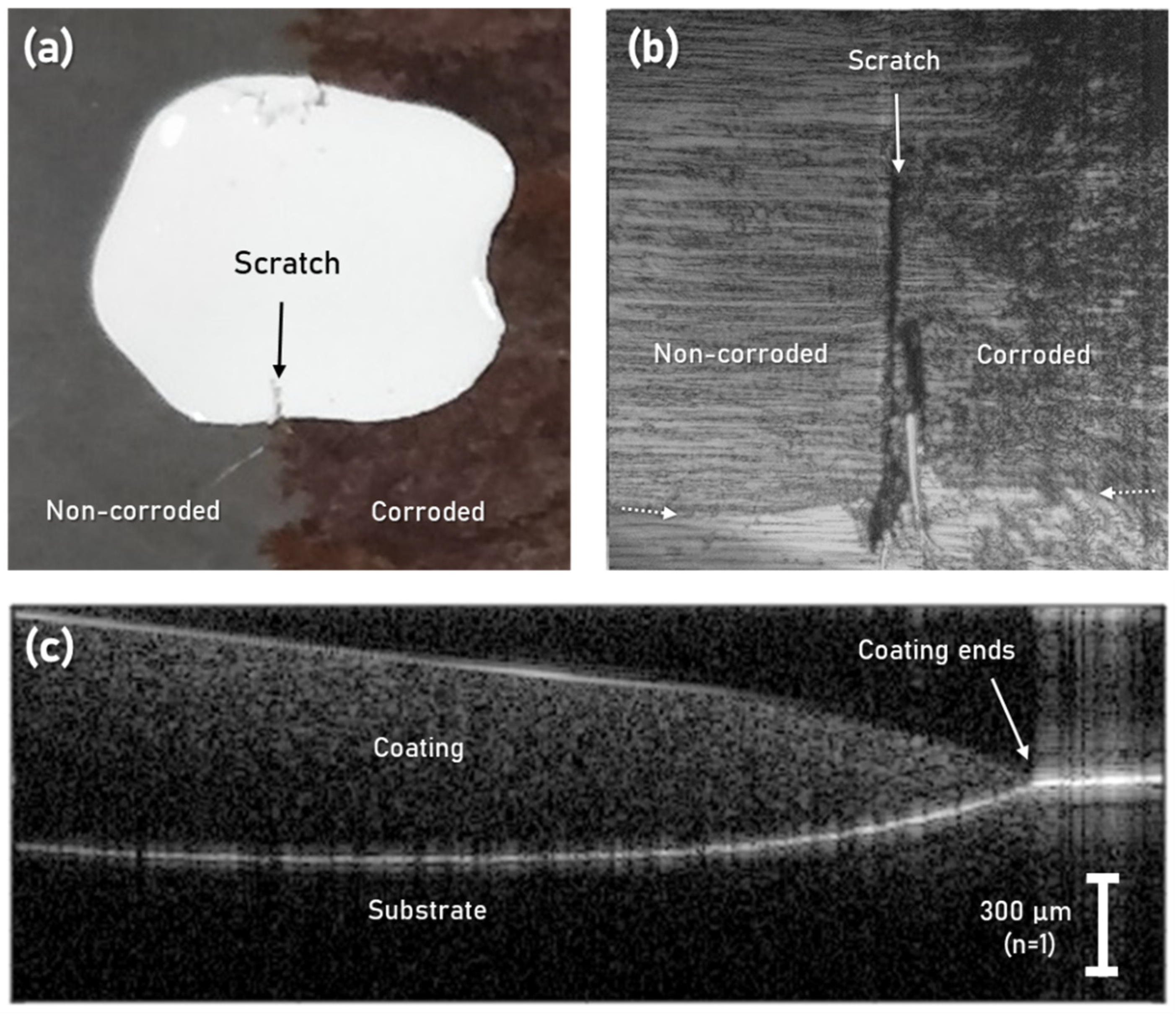 Coatings 11 00877 g007