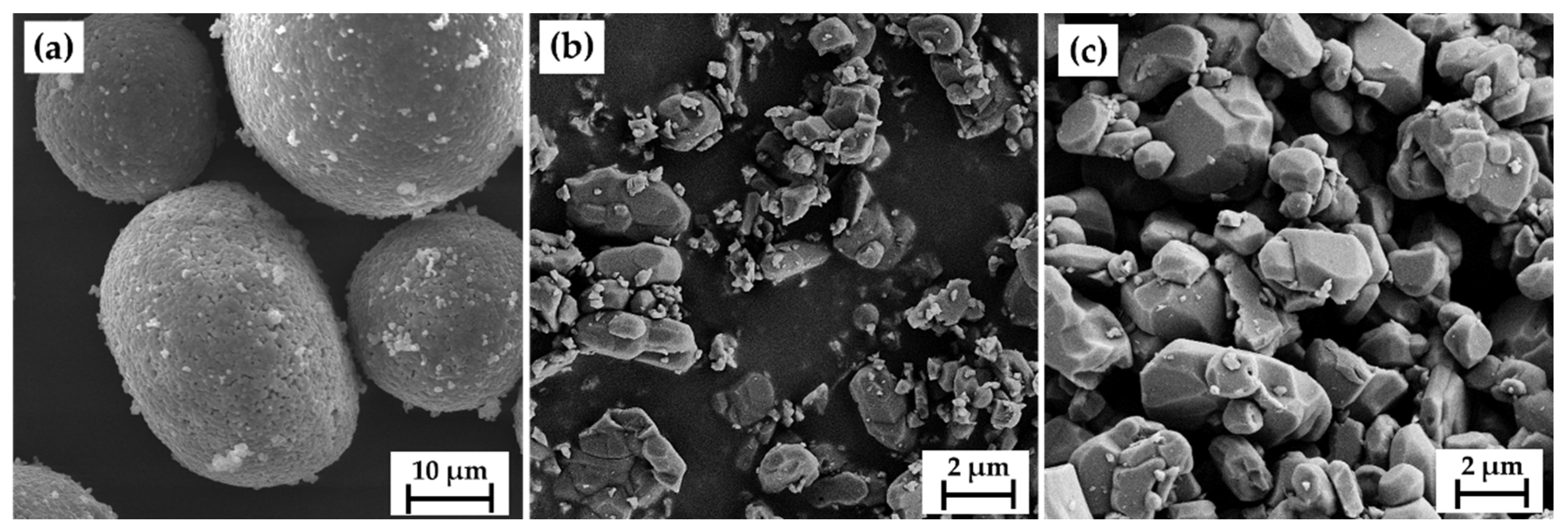 Coatings 11 00879 g001 Coatings 11 00879 g001