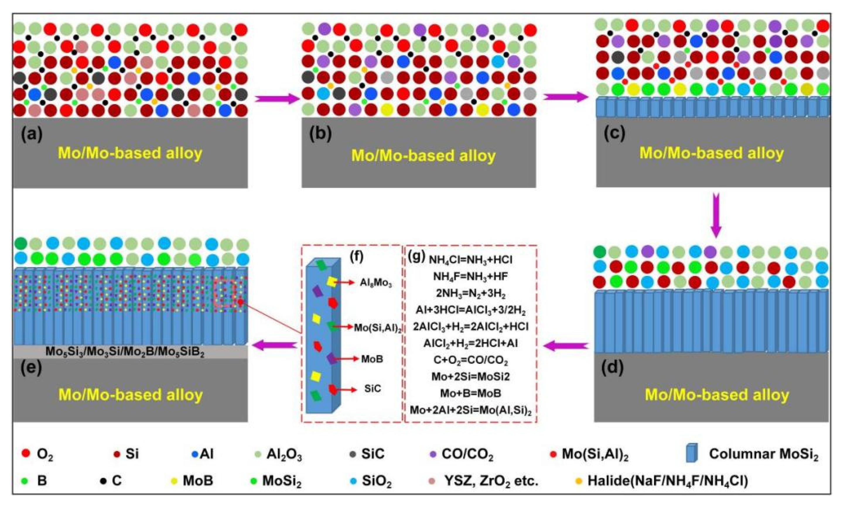 Coatings 11 00883 g002