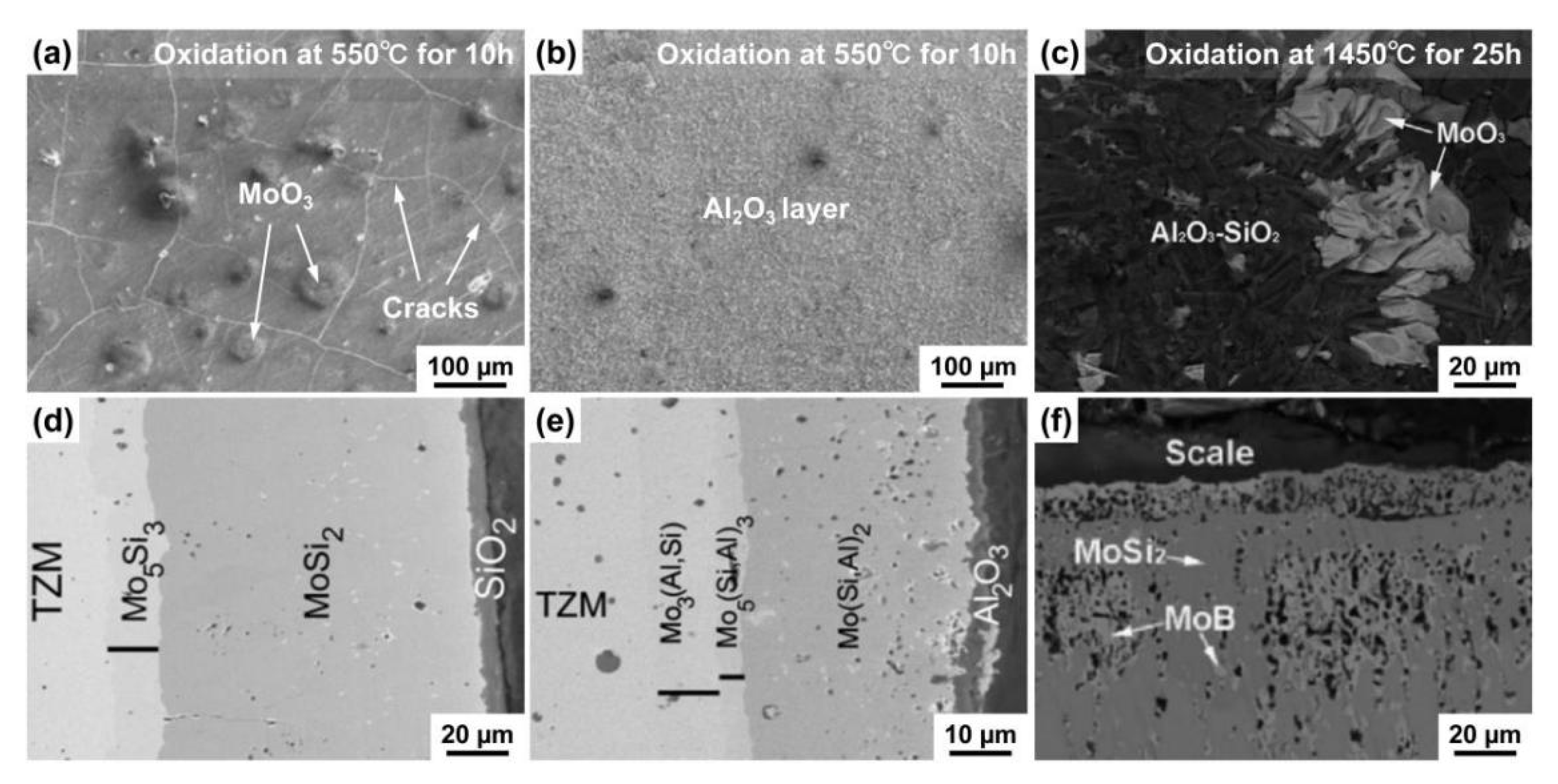 Coatings 11 00883 g004