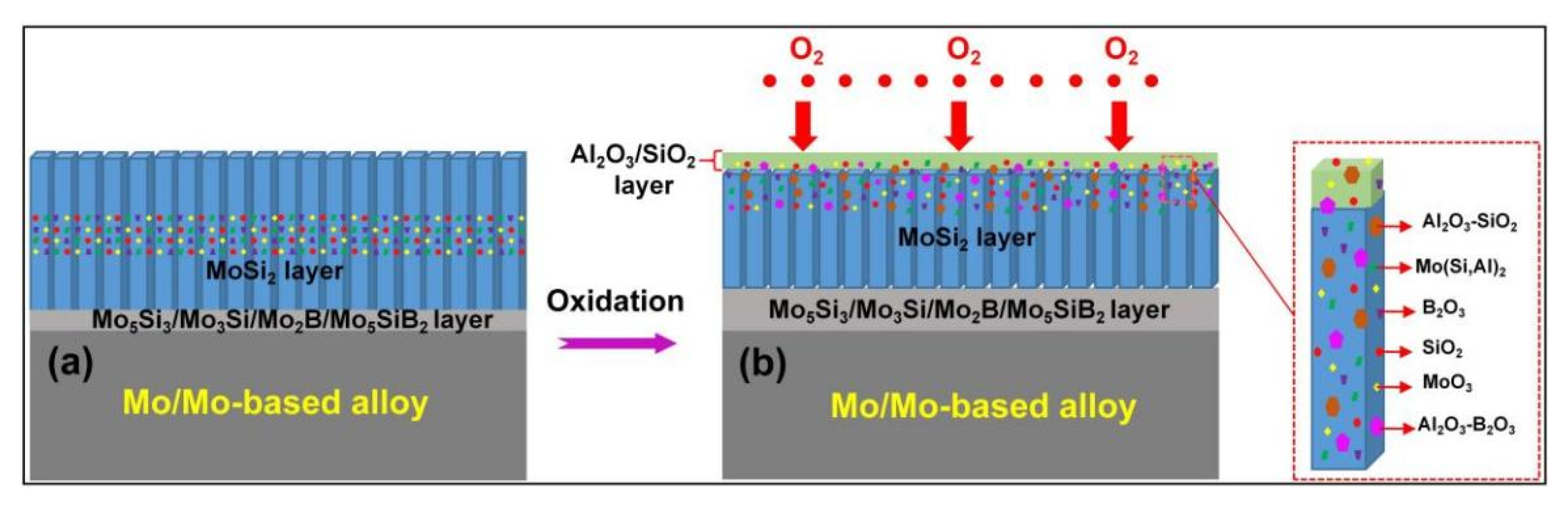 Coatings 11 00883 g006