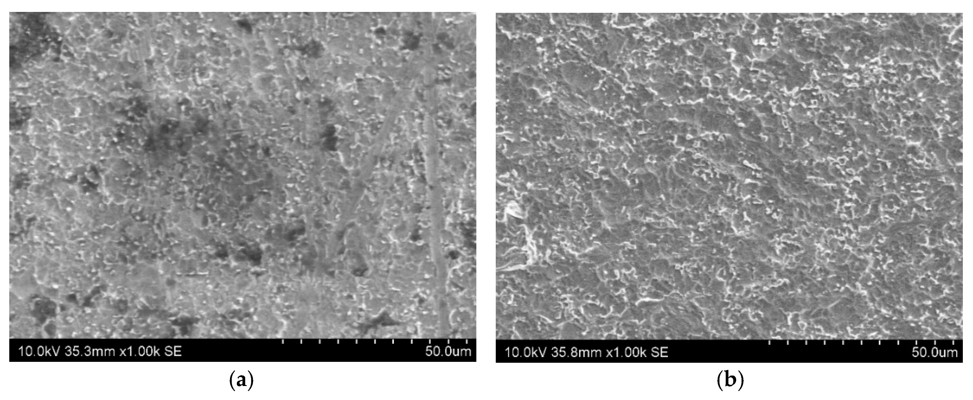 Coatings 11 00886 g003 550