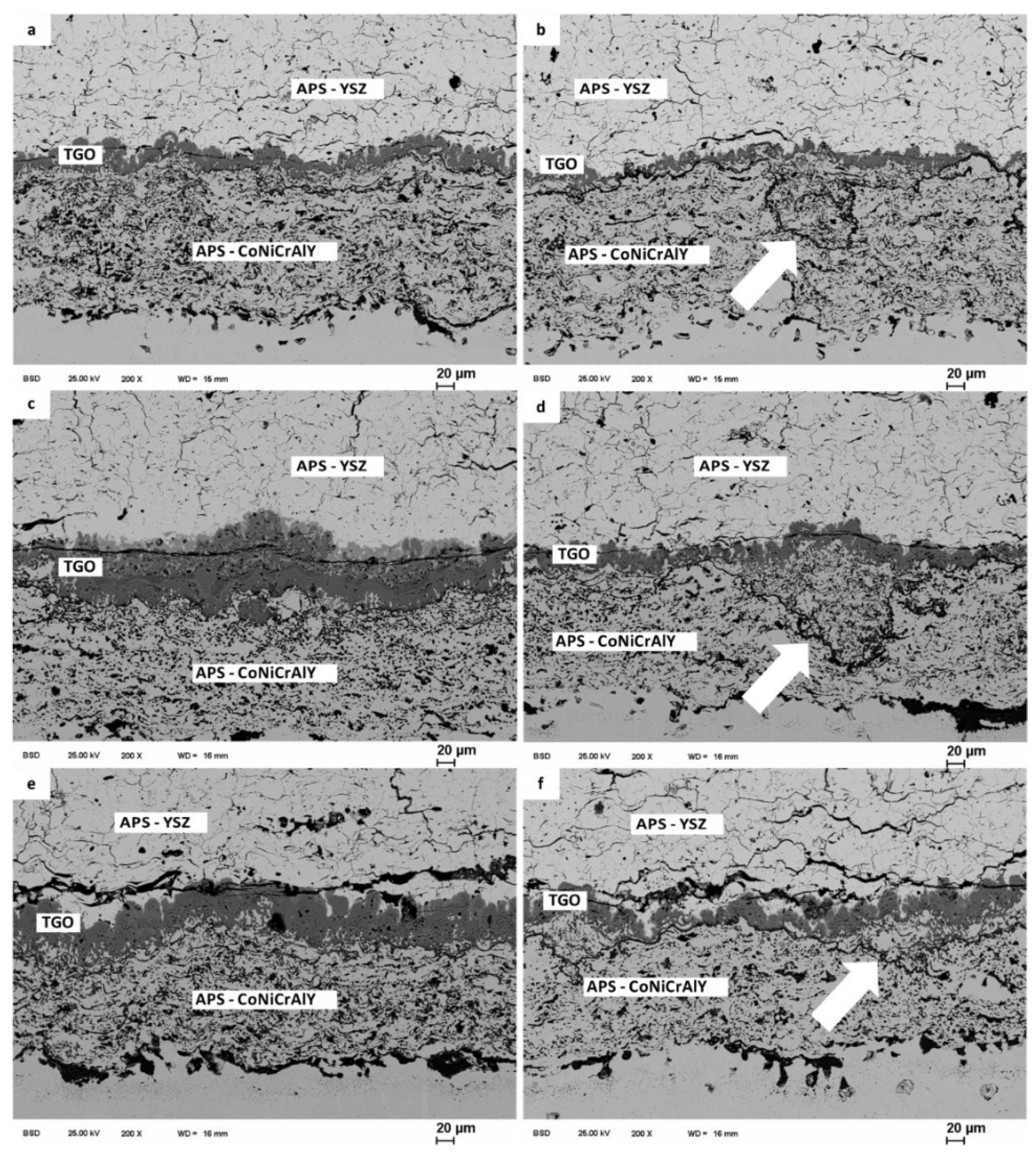 Coatings 11 00887 g005 550