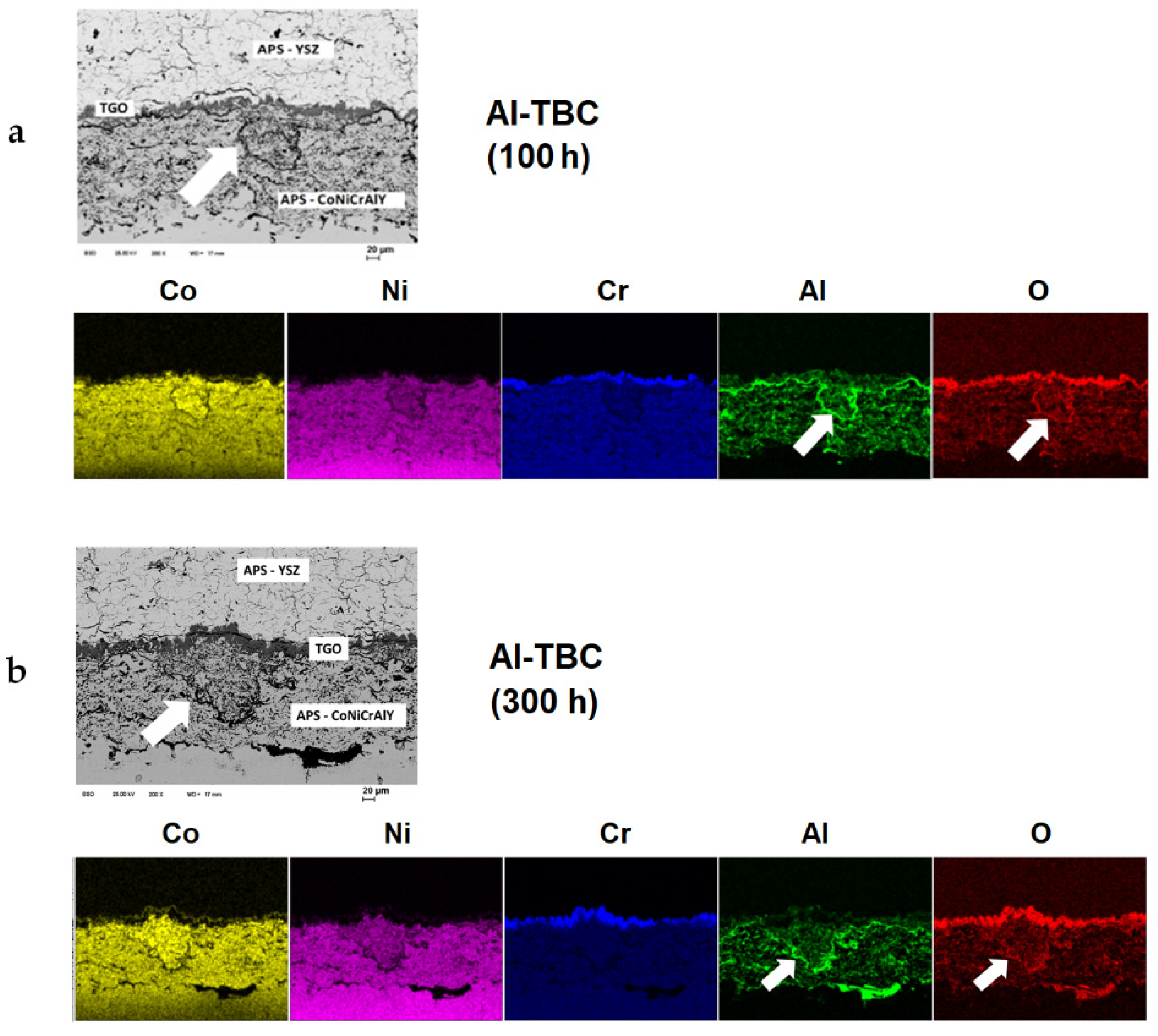 Coatings 11 00887 g006 550