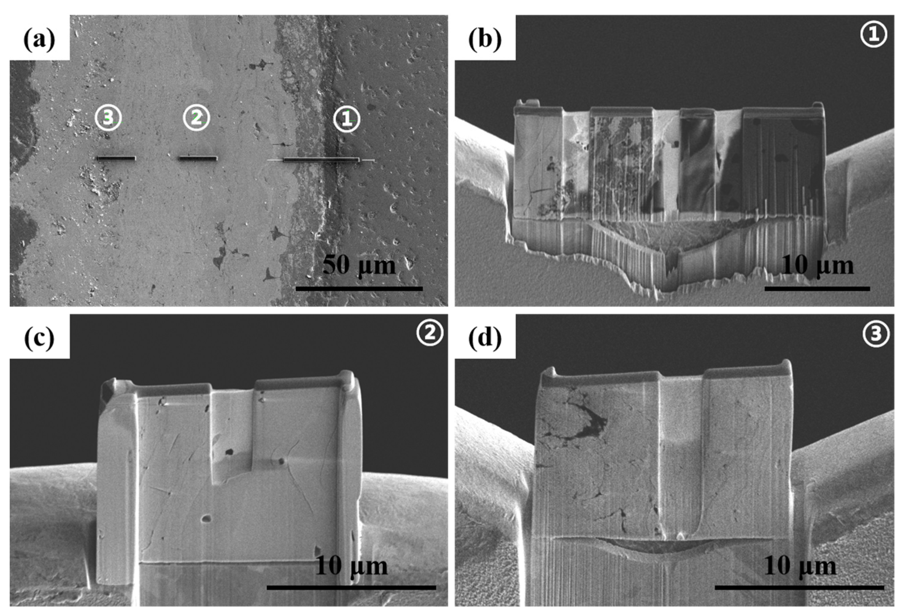 Coatings 11 00889 g004