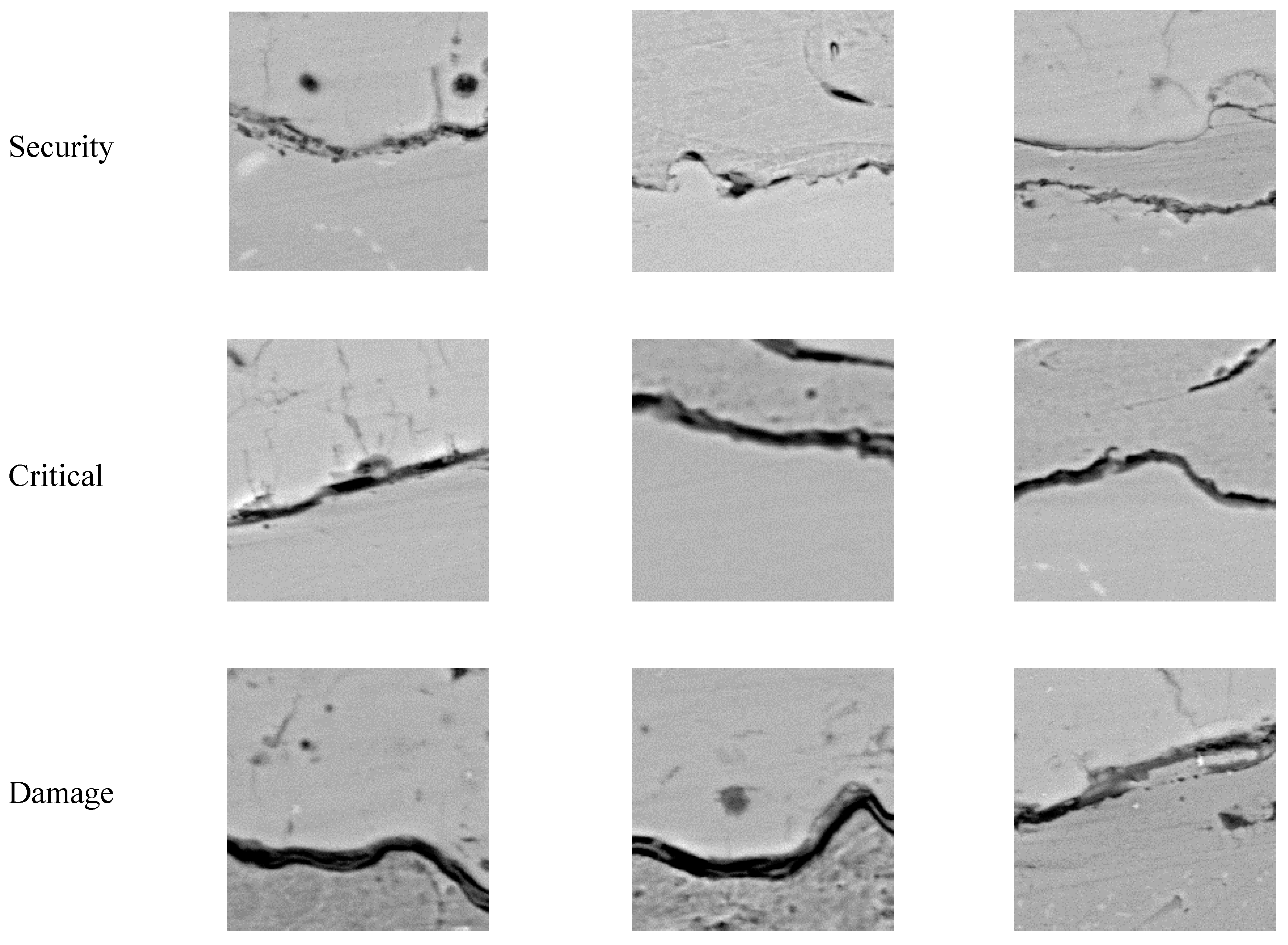 Coatings 11 00890 g010 550