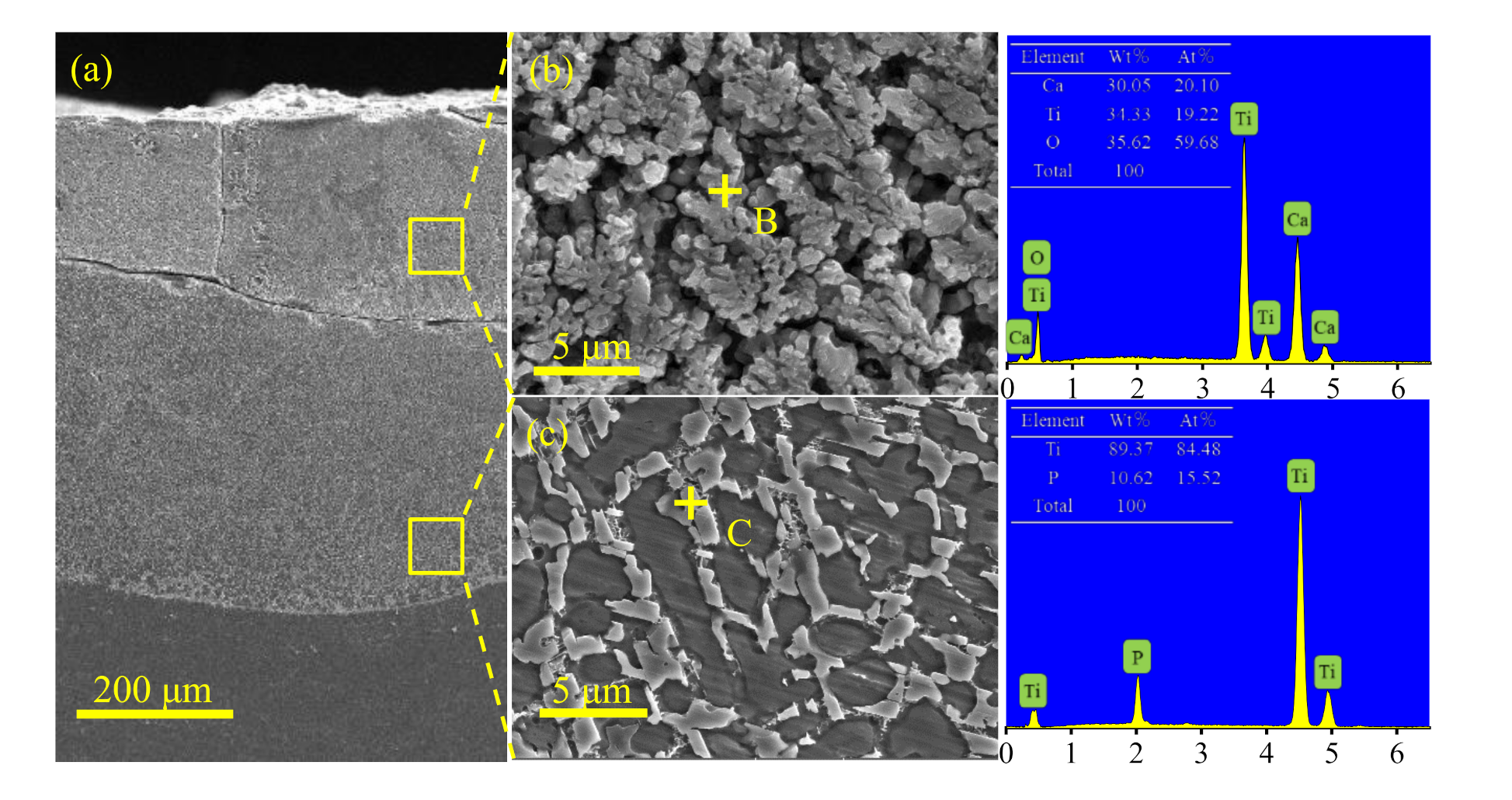 Coatings 11 00891 g005