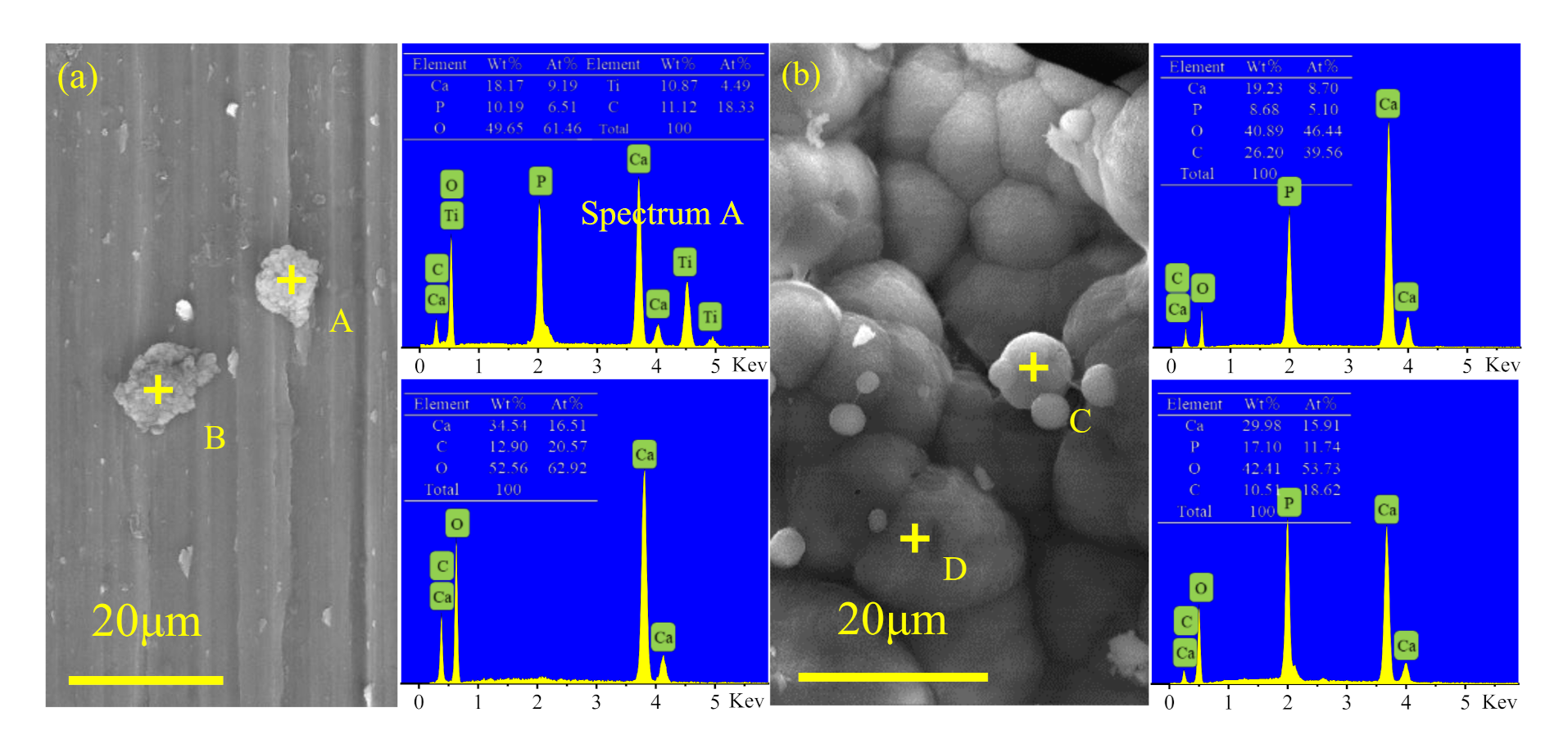 Coatings 11 00891 g010