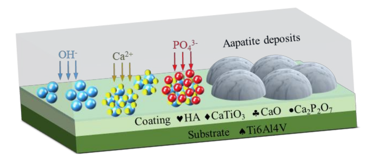 Coatings 11 00891 g013