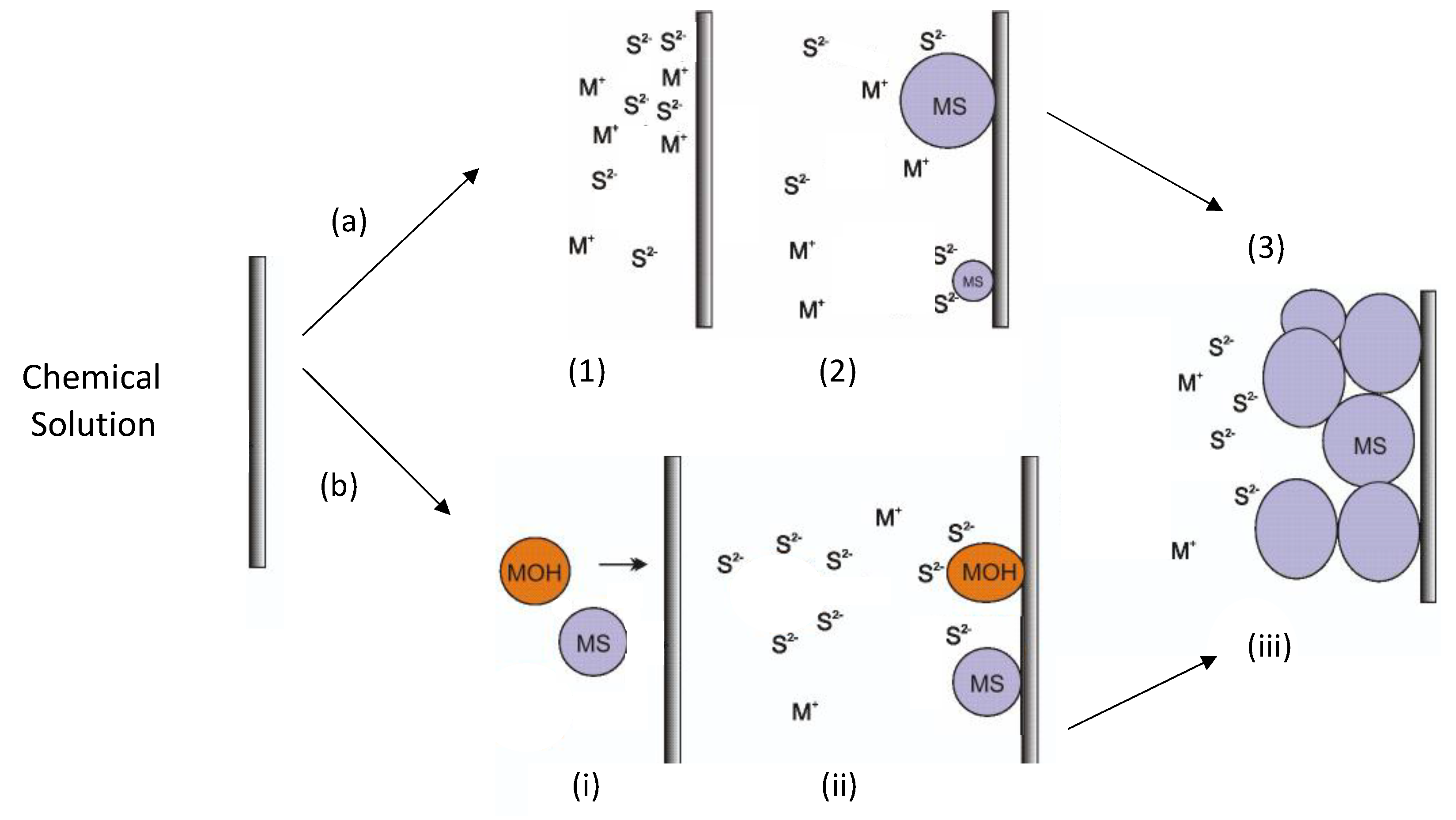 Coatings 11 00897 g001 Coatings 11 00897 g001