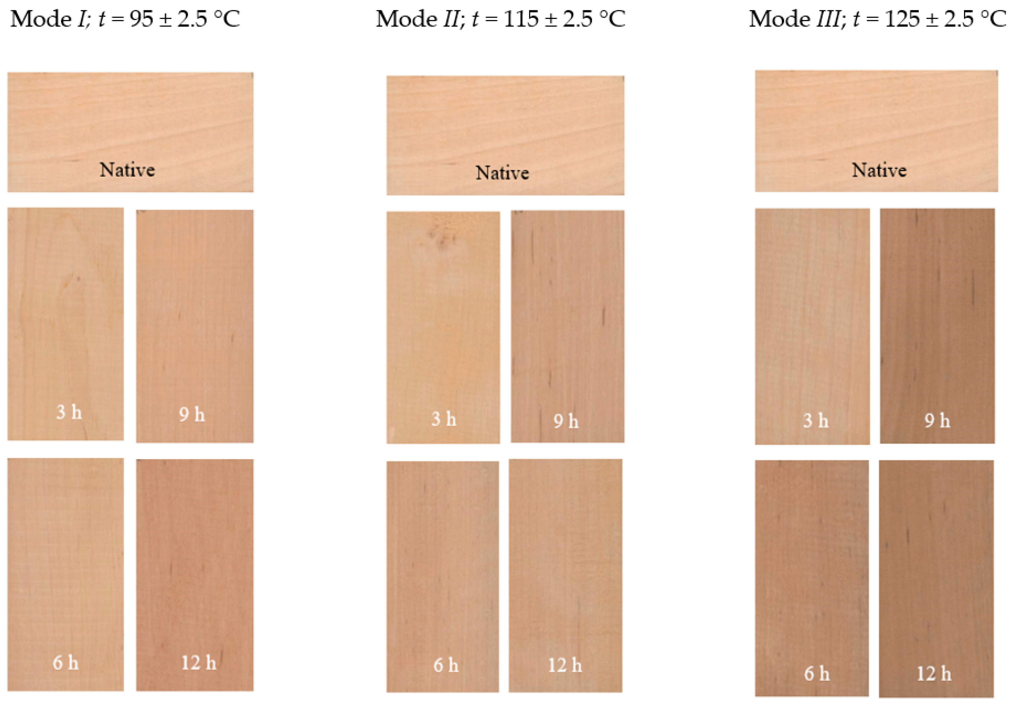 Coatings 11 00898 g003