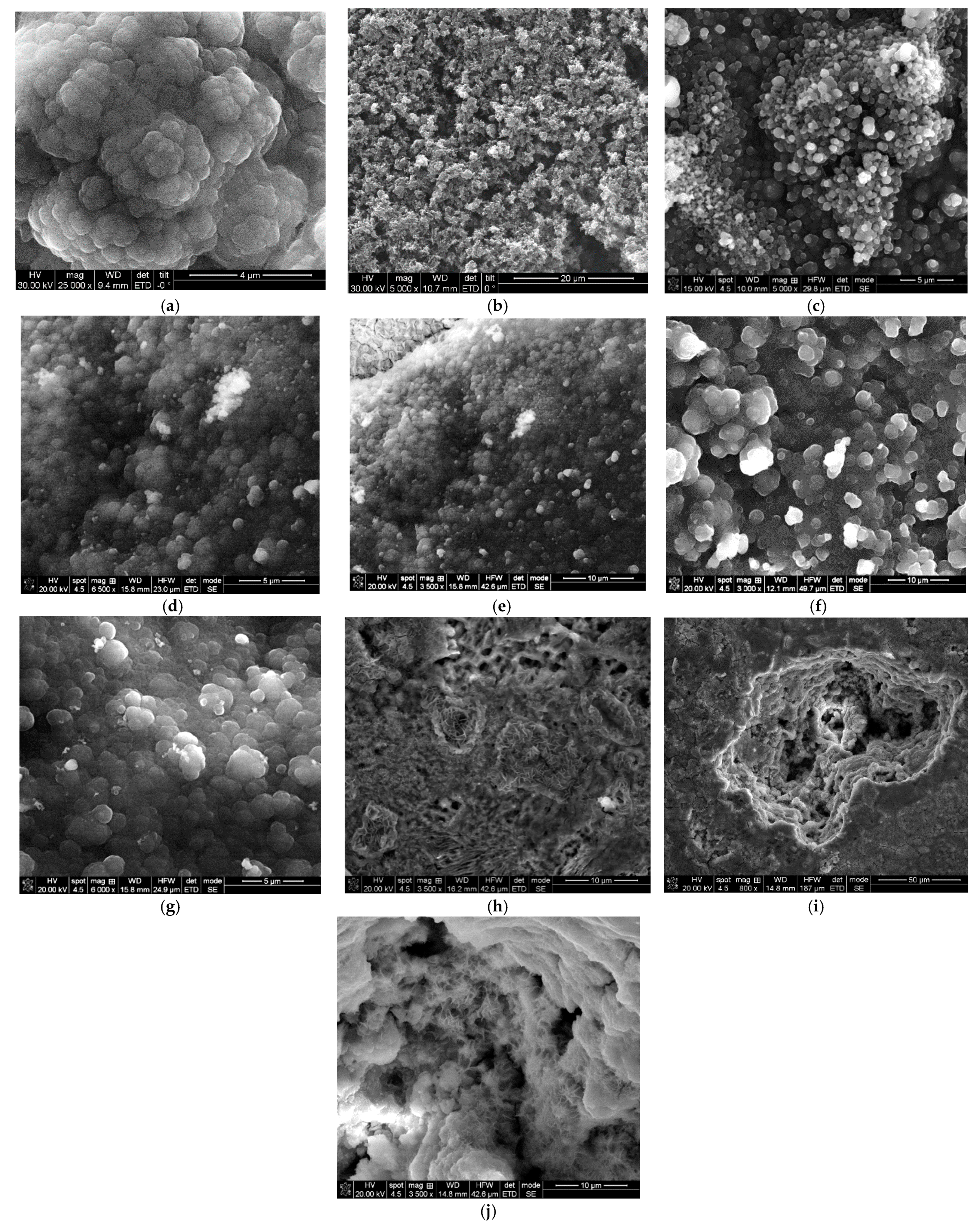 Coatings 11 00903 g012