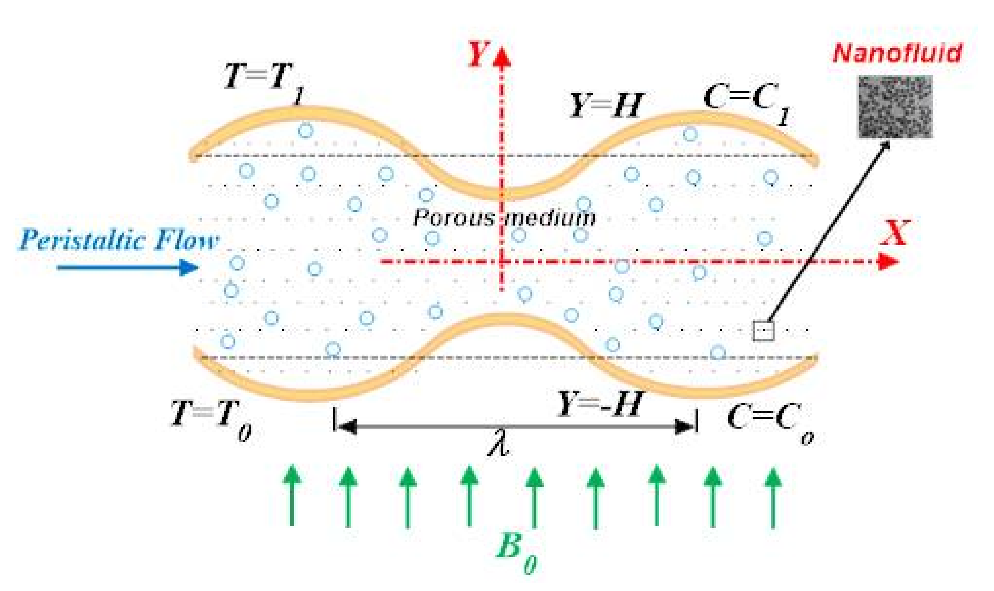 Coatings Free FullText Peristaltic Flow with Heat Transfer for