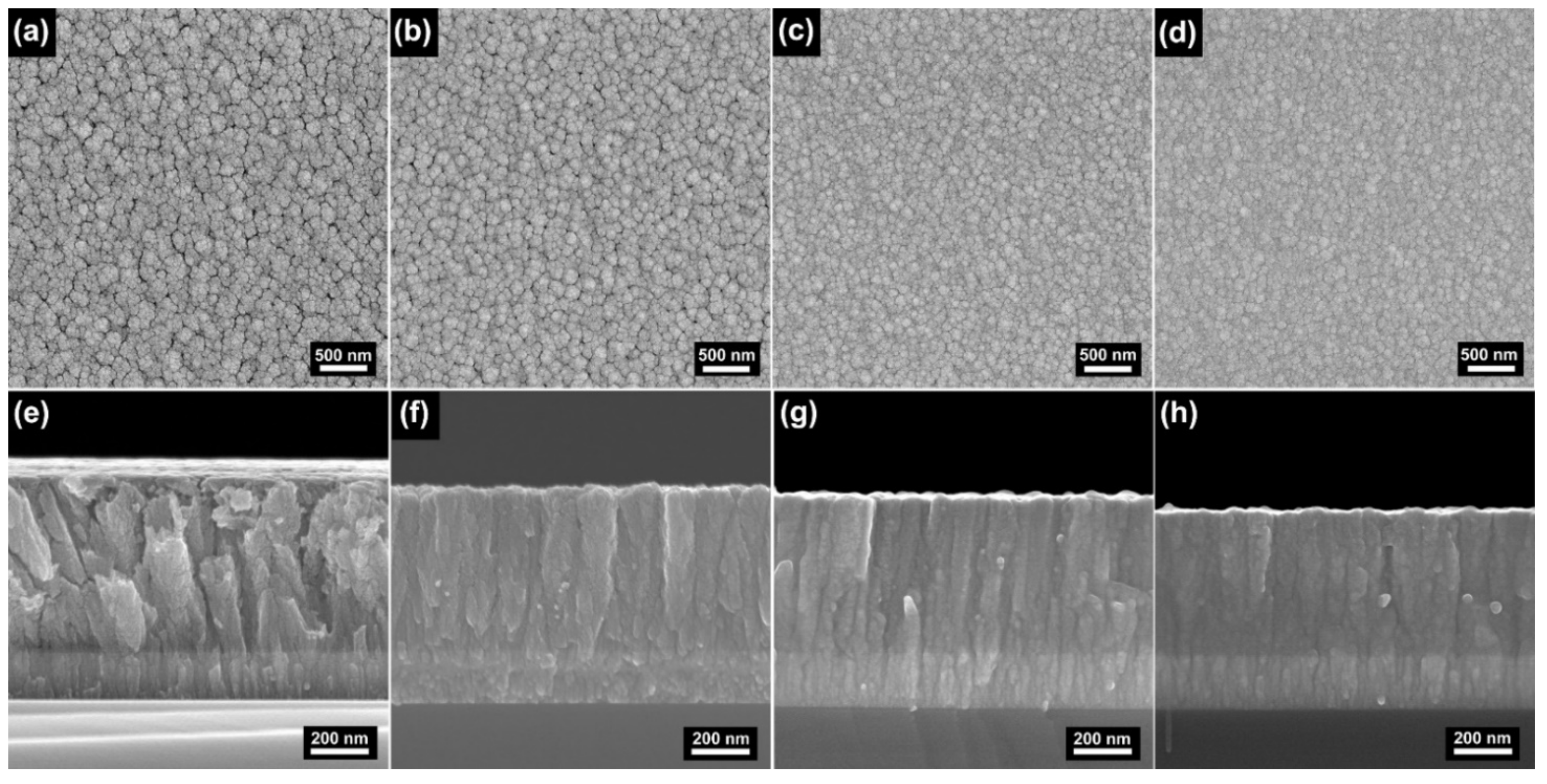Coatings 11 00911 g001