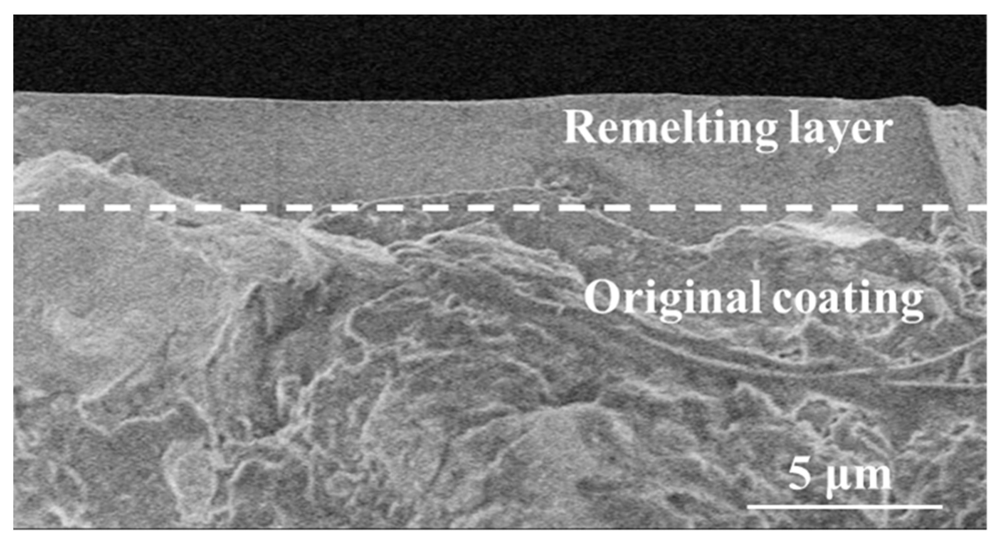Coatings 11 00912 g003 550
