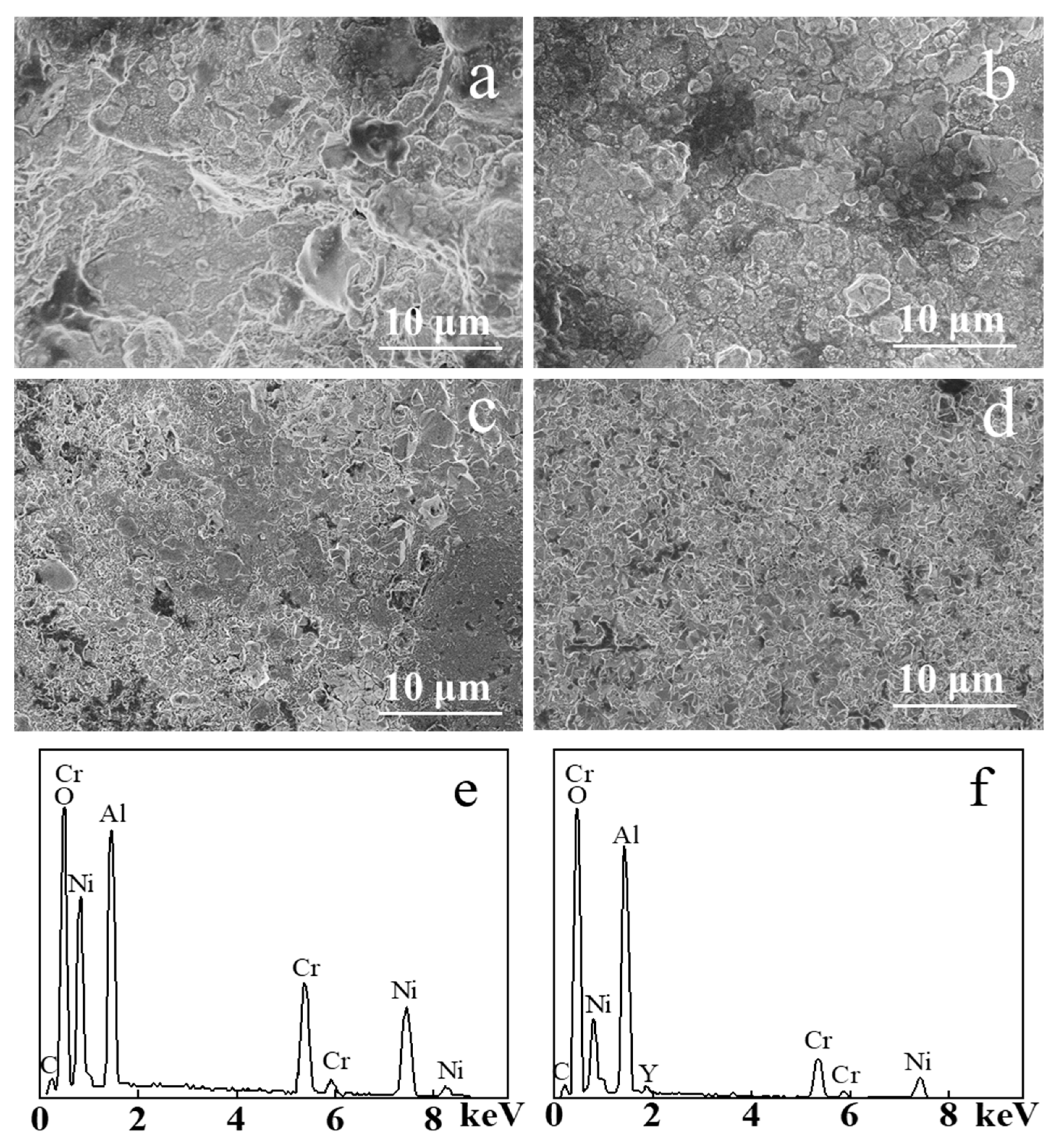 Coatings 11 00912 g005 550