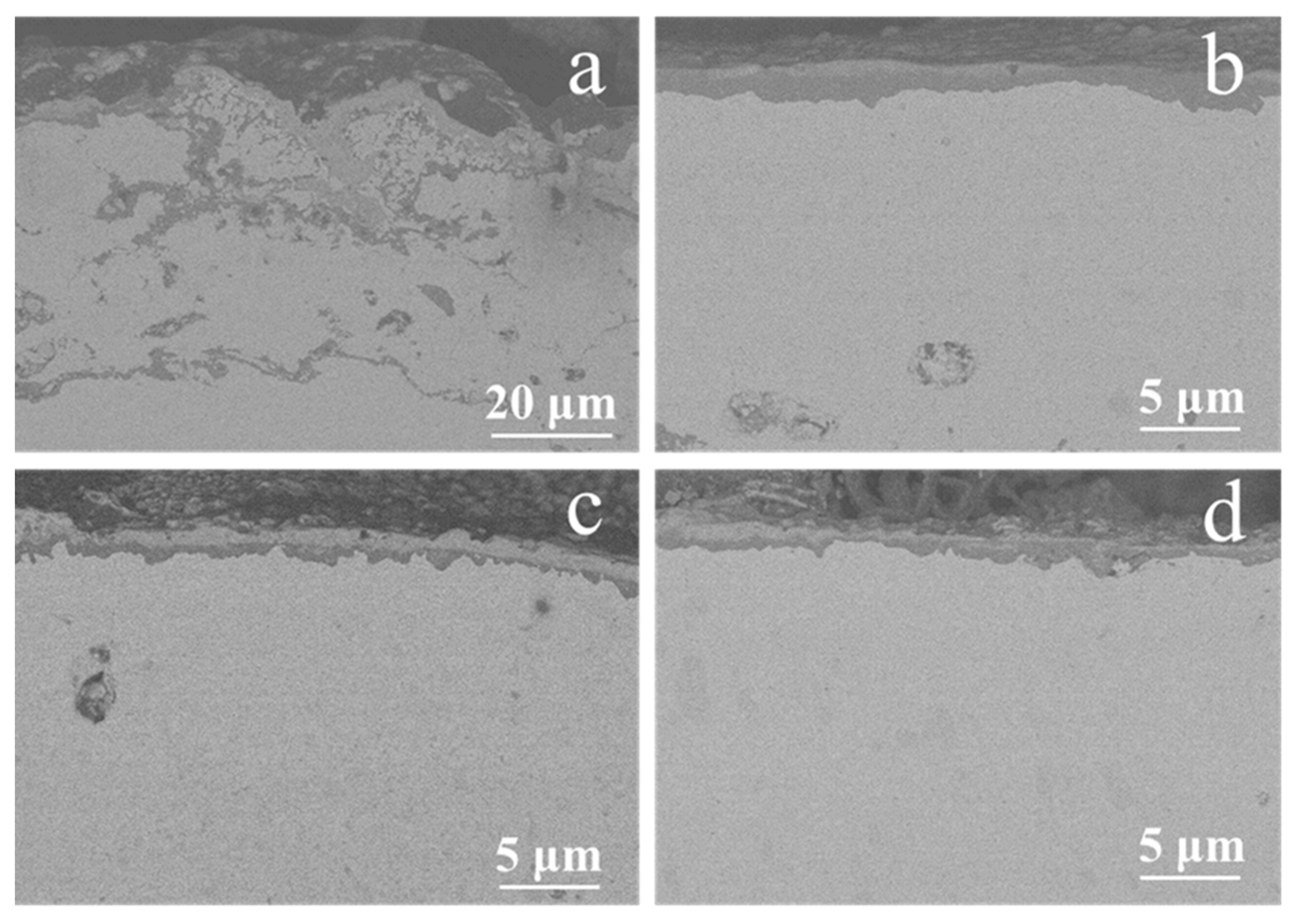 Coatings 11 00912 g006 550